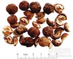 ����ӵĹ�Ч�c����