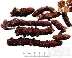 Ǽ��Ĺ�Ч�c����