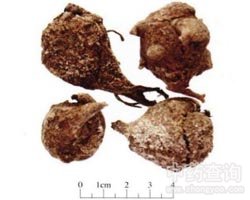 ���ӵĹ�Ч�c����