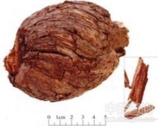 ���ɹ�(ji��)