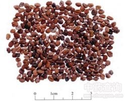 ���J�͵Ĺ�Ч�c����