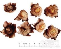 ���ٵĹ�Ч�c����