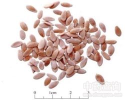 ����ӵĹ�Ч�c����