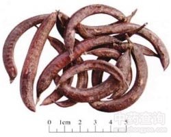 �i�����Ĺ�Ч�c����