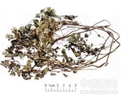 ��Ѫ���Ĺ�Ч�c����