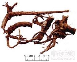 ��ˎ�ϻ�ǰ���DƬ