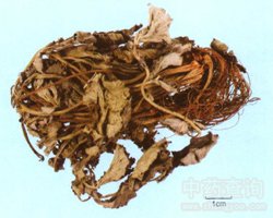 �{(l��n)����