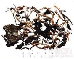 ��ˎޤ�����~�DƬ