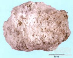 â���Ĺ�Ч�c����