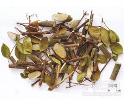 �˸����Ĺ�Ч�c����