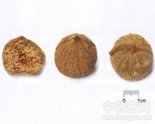 �o(w��)����