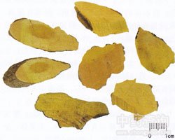 ˎ�������