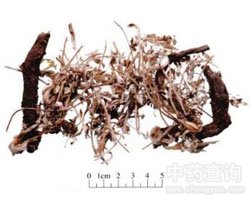 ���ײݵĹ�Ч�c����