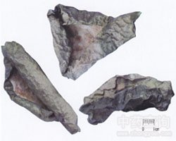 ����Ƥ�Ĺ�Ч�c����