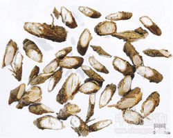 ǧ��εĹ�Ч�c����