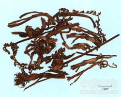 �P�����Ĺ�Ч�c����