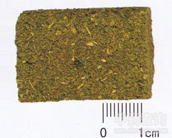 ������ˎ��