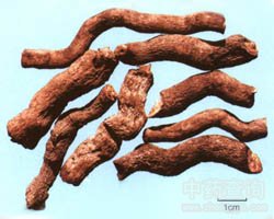 ��ľ��Ĺ�Ч�c����