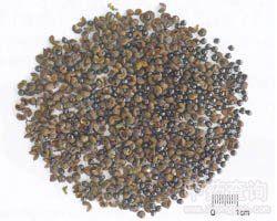 ���~���Ĺ�Ч�c����