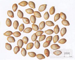 �Ϲ��ӵĹ�Ч�c����