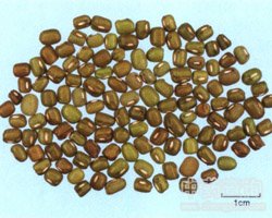 �G���Ĺ�Ч�c����