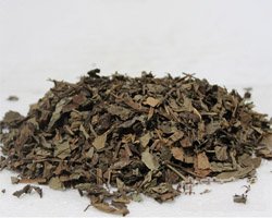 �R�m�Ĺ�Ч�c����