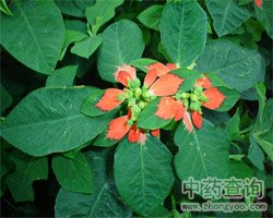 �~�󻨵Ĺ�Ч�c����