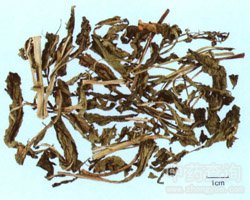 �G�˵Ĺ�Ч�c����