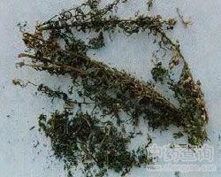 ĵ��Ĺ�Ч�c����