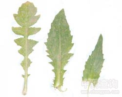 �j�˵Ĺ�Ч�c����