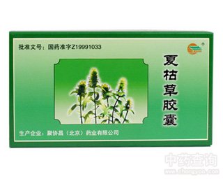 �Ŀݲ��z��