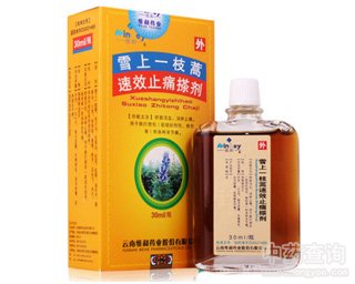 ѩ��һ֦����Чֹʹ�넩