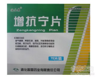 ������Ƭ