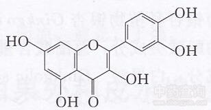白花蛇舌草黃酮