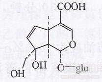 巴戟天環(huán)烯醚萜苷