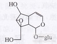 地黃環(huán)烯醚萜苷