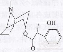 華山參生物堿