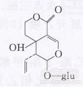 獐牙菜裂環(huán)烯醚萜苷