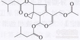 蜘蛛香揮發(fā)油