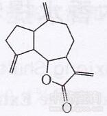木香揮發(fā)油