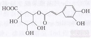 山銀花有機(jī)酸