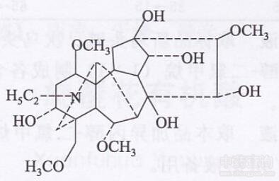 ѩ��һ֦������A