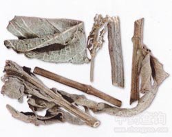 �x��ˎ��Ч�c����