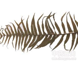 ����Ҋ(ji��n)