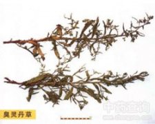 ���`����