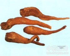 ��?y��n)?/></a><span><a href="http://www.sxydzsgs.com/name/ecan_13134.html" title="��?y��n)? class="title">��?y��n)?/a></span></li>

  </ul>
  </span> </div>

<!--�D�V���^(q��)end--> 
  </div>
</div>
<!-- //�ײ�ģ�� -->

<div   id="ldx5vzt"   class="copyrightbox">
  <div> <span> ��վ���Ѓ�(n��i)�ݾ��ǁ�Դ�ڻ�(li��n)�W(w��ng)��ˎ�W(xu��)�������s־����ժ����(n��i)�݃H�����������������\���{��(j��)��������D(zhu��n)�d��վ��(n��i)��Ո(q��ng)ע����Դ��ַ��</span> </div>  <script>show_view_02();</script>
</div>
<div   id="rnhlh5d"   class="bottominfo" id="bottominfo" style="padding-top:10px;">
  <hr style="width:970px;color:#bbb;" size="1">
  <a href="http://www.sxydzsgs.com/" title="��ˎ���">���</a> | <a href="http://www.sxydzsgs.com/name/" title="��ˎ��ȫ">��ˎ�Ĵ�ȫ</a> | <a href="http://www.sxydzsgs.com/fangji/" title="������ȫ">������ȫ</a> | <a href="http://www.sxydzsgs.com/sitemap.html" rel="nofollow">�W(w��ng)վ�؈D</a> | <a >�֙C(j��)��</a><br>
  Copyright  © 2014-2021 www.sxydzsgs.com ���(qu��n)���� ��ˎ��ԃ ��ICP��13004469̖(h��o)-1 <script language="javascript" type="text/javascript" src="http://www.sxydzsgs.com/img/js/#js"></script></div>
 

<footer>
<div class="friendship-link">
<p>��л���������ǵ���վ�������ܻ���������Դ����Ȥ��</p>
<a href="http://www.sxydzsgs.com/" title="加勒比东京热综合久久,91久久人人妻人人澡,最近最好最新免费中文字幕,亚洲av之美女人妻,国产亚洲a在线观看,亚洲天堂网伊人网,99久久这里只有精品6,久久精品在线视频在线观看,精品国在线观看视频在线播放">加勒比东京热综合久久,91久久人人妻人人澡,最近最好最新免费中文字幕,亚洲av之美女人妻,国产亚洲a在线观看,亚洲天堂网伊人网,99久久这里只有精品6,久久精品在线视频在线观看,精品国在线观看视频在线播放</a>

<div class="friend-links">


</div>
</div>

</footer>


<a href="http://www.xiangdai-see.com" target="_blank">ȫ���������Դ��</a>|
<a href="http://www.gzgxbz.com" target="_blank">�츾����������������Ļ����</a>|
<a href="http://www.wxwxn.com" target="_blank">��������ɫavһ������</a>|
<a href="http://www.lecymbal.com" target="_blank">�þ�ܳ������Ļ˿��</a>|
<a href="http://www.whvgi.com" target="_blank">��ҹ�þþþþý�����Ӱ</a>|
<a href="http://www.996un.com" target="_blank">����������������������</a>|
<a href="http://www.chaozhekou.com" target="_blank">�պ�������Ƶ��ȫ</a>|
<a href="http://www.daozhile.com" target="_blank">��Ƭ������㶮����Ƶ</a>|
<a href="http://www.ningshangyoupin.com" target="_blank">������Ʒһ��һ����������</a>|
<a href="http://www.lnwyts.com" target="_blank">�պ����޾�Ʒ���</a>|
<a href="http://www.jinzhoubanjiawang.com" target="_blank">���޹������˾�Ʒ��վ</a>|
<a href="http://www.jinjk.com" target="_blank">�þþ�Ʒ ��Ƶһ��</a>|
<a href="http://www.maotaieg.com" target="_blank">��ҹ��������������ѹۿ�</a>|
<a href="http://www.hangxingdun.com" target="_blank">���޾þþ�999</a>|
<a href="http://www.duyanqi.com" target="_blank">�����㽶�ؼ�һ����������</a>|
<a href="http://www.tobaobay.com" target="_blank">99�òݾ�Ʒ��Ƶ����</a>|
<a href="http://www.xhqipei.com" target="_blank">���޾�ѡ������Ƶ</a>|
<a href="http://www.jjjxsb.com" target="_blank">����һ���������պ���Ʒ</a>|
<a href="http://www.cheewo.com" target="_blank">91��Ʒ��Ƶһ������</a>|
<a href="http://www.weizuguoxianli.com" target="_blank">�������¼���������</a>|
<a href="http://www.huacao1996.com" target="_blank">�պ�av��Ӱ���߲���</a>|
<a href="http://www.ncibags.com" target="_blank">�þ�����ɫ�ۺ��պ�һ��һ��</a>|
<a href="http://www.lhws20.com" target="_blank">�������ۺ�avӰԺ</a>|
<a href="http://www.xlyjz.com" target="_blank">�������޹���av</a>|
<a href="http://www.lure100.com" target="_blank">�������¼���������</a>|
<a href="http://www.jnqunguan.com" target="_blank">�ձ���ҹ��������</a>|
<a href="http://www.nnjdwxzx.com" target="_blank">��ҹ�㽶һ����������</a>|
<a href="http://www.txnrw.com" target="_blank">jul909������Ļ����</a>|
<a href="http://www.henanyupin.com" target="_blank">��������av�������޹ۿ�</a>|
<a href="http://www.jsyydlc.com" target="_blank">91ҹɫ˽��ӰԺ���߹ۿ�</a>|
<a href="http://www.yuanlaijinsheng.com" target="_blank">����һ���ձ�һ��ŷ��һ��</a>|
<a href="http://www.zj3000.com" target="_blank">999�þþ���Ƶ��ɫ</a>|
<a href="http://www.wangwangyueche.com" target="_blank">�þþþþù�����Ʒһ������</a>|
<a href="http://www.zydljx.com" target="_blank">�ձ��þ�������߹ۿ�</a>|
<a href="http://www.iwanyg.com" target="_blank">��������������찮</a>|
<a href="http://www.szhjlbq.com" target="_blank">����av��һ����������</a>|
<a href="http://www.hankoufuke.com" target="_blank">���ޢ�a�þþ�������þúݺ�</a>|
<a href="http://www.wxjmwy.com" target="_blank">�þ��ۺϾþ��ۺ�����</a>|
<a href="http://www.7znw.com" target="_blank">����������ˬ�ݺݸ�</a>|
<a href="http://www.bjzhdd.com" target="_blank">�ձ�������Ļ���߹ۿ���Ƶ���</a>|
<a href="http://www.jsjhdn.com" target="_blank">����һ��������������������Ƶ</a>|
<a href="http://www.158fang.com" target="_blank">�պ�ŷ�������������߹ۿ�</a>|
<a href="http://www.szzbaf.com" target="_blank">���޾�Ʒ���������Ƶ</a>|
<a href="http://www.pzjinxiudadi.com" target="_blank">����av���ھ�Ʒ�þþ�ҹҹ��</a>|
<a href="http://www.deyuansign.com" target="_blank">�žžþþ�Ʒ�����վ</a>|
<a href="http://www.hshyb.com" target="_blank">��Ѩ��Ӱ������Ļ����������Ļ</a>|
<a href="http://www.doelu.com" target="_blank">����av��Ů�׽���Ʒ��Ƶ</a>|
<a href="http://www.cqtuozhan.com" target="_blank">ŷ��������Ʒһ�������Ʒ</a>|
<a href="http://www.zhongtairenliziyuan.com" target="_blank">������ѵ�Ӱ��վһ����������</a>|
<a href="http://www.04ren.com" target="_blank">ŷ����Ʒ�պ���Ʒ����</a>|
<a href="http://www.hshyb.com" target="_blank">99��Ʒ��������þþþþ�</a>|
<a href="http://www.025ld.com" target="_blank">���˸������þþþþ�</a>|
<a href="http://www.tiehecn.com" target="_blank">������Ʒ�þþ�������ҹ</a>|
<a href="http://www.sjzmdkj.com" target="_blank">�ٸ��߳��þþþþ�һ��Ů��</a>|
<a href="http://www.jiafu99.com" target="_blank">һ��ɫ���þ�88�ۺ����޾�Ʒ��</a>|
<a href="http://www.taoshihui8.com" target="_blank">�Ʒ�˿�� ŷ���պ�</a>|
<a href="http://www.chengli11.com" target="_blank">��������mv����2020</a>|
<a href="http://www.zlhblog.com" target="_blank">ɫ�ۺϾþþþþþþ�����</a>|
<a href="http://www.tianxiugs.com" target="_blank">97��Ʒ�þþþ�������Ļ</a>|
<a href="http://www.cqrstl.com" target="_blank">����av����������</a>|
<a href="http://www.weichuanji.com" target="_blank">�������ü���������Ƶ����</a>|
<a href="http://www.sdbozhi.com" target="_blank">�����ٸ�������Ƶŷ��һ��</a>|
<a href="http://www.glyintu.com" target="_blank">���˻�ɫ������߲���</a>|
<a href="http://www.xxhxtl.com" target="_blank">�þ�99����Ʒ999</a>|
<a href="http://www.168mobi.com" target="_blank">��������֮֮��������</a>|
<a href="http://www.menguomajun.com" target="_blank">�պ�av������Ӱ���߹ۿ�</a>|
<a href="http://www.zzcgfs.com" target="_blank">��������ŷ��һ����������</a>|
<a href="http://www.trxmw.com" target="_blank">�պ�žž ������Ļ</a>|
<a href="http://www.zhonghuajv.com" target="_blank">avӰԺ����������߿�</a>|
<a href="http://www.krou1598.com" target="_blank">��ɫa��һ�������������</a>|
<a href="http://www.618gifts.com" target="_blank">����avһ���������������Ƶ</a>|
<a href="http://www.kaike168.com" target="_blank">�ձ�Ůͬ����������Ƶ</a>|
<a href="http://www.ruidianxn.com" target="_blank">����͵��ͼƬר��</a>|
<a href="http://www.jnsmfqy.com" target="_blank">��ɫ��Ƭ��ɫһ����Ƭ</a>|
<a href="http://www.ningmengjie.com" target="_blank">��������������������Ļ����</a>|
<a href="http://www.ledong100.com" target="_blank">��͹����av��Ů�׽�</a>|
<a href="http://www.jianliangkj.com" target="_blank">ŷ��������Ʒһ�������Ʒ</a>|
<a href="http://www.k3n238.com" target="_blank">�þô����˾�Ʒ��Ƶ</a>|
<a href="http://www.lbsdlyl.com" target="_blank">�ܻƺܻƵ������ϴ�</a>|
<a href="http://www.xiaomiddc.com" target="_blank">��Ƶһ��Ƶ����Ƶ��</a>|
<a href="http://www.mumafushi.com" target="_blank">�պ�һ��������������av</a>|
<a href="http://www.jmyy16.com" target="_blank">����ŷ���պ���Ʒ���߲���</a>|
<a href="http://www.ikanlishi.com" target="_blank">91�þþ�Ʒ����91��</a>|
<a href="http://www.jnsmfqy.com" target="_blank">������Ʒ�þ���ַ��ȫ</a>|
<a href="http://www.hbdhsw.com" target="_blank">����av��������</a>|
<a href="http://www.yifeng-logistics.com" target="_blank">����AV��������ۺ�һ������</a>|
<a href="http://www.hahpwsy.com" target="_blank">�������ÿ���֮������Ļ</a>|
<a href="http://www.hesyy666.com" target="_blank">�ձ��ٸ���ˮ��Ƶ</a>|
<a href="http://www.ren-seo.com" target="_blank">��Ʒ��Ƶһ��������������</a>|
<a href="http://www.ahekyy.com" target="_blank">�����������߹ۿ�һ������</a>|
<a href="http://www.51exiu.com" target="_blank">ŷ�޹����׾þþþþþ�</a>|
<a href="http://www.158fang.com" target="_blank">�鶹��վ������ѹۿ�</a>|
<a href="http://www.jcgmqjj.com" target="_blank">��Ů�ٸ�һ���������߹ۿ�</a>|
<a href="http://www.3399com.com" target="_blank">�ձ��츾�������߹ۿ�</a>|
<a href="http://www.gzercheng.com" target="_blank">������������Ļ��������</a>|
<a href="http://www.sfhctea.com" target="_blank">������Ļ+����av</a>|
<a href="http://www.qzxiu.com" target="_blank">�պ�av��Ӱ���߲���</a>|
<a href="http://www.xcrpah.com" target="_blank">��ʯ������һ������av</a>|
<a href="http://www.anjiwss.com" target="_blank">������ƵƵ������</a>|
<a href="http://www.gdxbcar.com" target="_blank">�պ�һ����Ʒһ������</a>|
<a href="http://www.0832fc.com" target="_blank">����ŷ����Ʒɫ���</a>|
<a href="http://www.topiotsc.com" target="_blank">������Ů�þþþ�</a>|
<a href="http://www.xinyuanart.com" target="_blank">����avɪɪ����</a>|
<a href="http://www.liyejun.com" target="_blank">AV���������Ʒɫ��ҹ</a>|
<a href="http://www.ydctw360.com" target="_blank">���˳�ɫ�ۺ���Ƶ</a>|
<a href="http://www.highnoonculture.com" target="_blank">�þ�re��Ƶ������ѹۿ�</a>|
<a href="http://www.pxhospitals.com" target="_blank">Ů��18ëƬһ����������</a>|
<a href="http://www.lizhibk.com" target="_blank">�Ʒ���ʿjkѧ��˿��������װ</a>|
<a href="http://www.bjdtjyjdfzs.com" target="_blank">���������찮������</a>|
<a href="http://www.jiang520.com" target="_blank">����avһ��������</a>|
<a href="http://www.vod61.com" target="_blank">����ŷ���պ����������ۺ�</a>|
<a href="http://www.psruanjianxiazai.com" target="_blank">����һ���������ྫƷ�þ�</a>|
<a href="http://www.jiang520.com" target="_blank">���ü�����������</a>|
<a href="http://www.bzkfqez.com" target="_blank">�����ִ���ˬ�ִ��ֻ���Ƶ</a>|
<a href="http://www.opkodomo.com" target="_blank">��Ʒ�þ�www����ˬ����</a>|
<a href="http://www.laigemc.com" target="_blank">�ֻ����߾�Ʒ����</a>|
<a href="http://www.gezhidoc.com" target="_blank">����һ��������������99</a>|
<a href="http://www.xiaohangou.com" target="_blank">ŷ��һ��������������</a>|
<a href="http://www.shiguangba.com" target="_blank">ŷ���պ���Ʒ�����߹ۿ�</a>|
<a href="http://www.renosec.com" target="_blank">�����,������,����ɫ</a>|
<a href="http://www.dthf-china.com" target="_blank">���޾þ�av97һ��</a>|
<a href="http://www.hierlighting.com" target="_blank">�ձ�������Ļ���߹ۿ���Ƶ���</a>|
<a href="http://www.xzhgxx.com" target="_blank">���˵����þ�Ʒ�þ�</a>|
<a href="http://www.7setu.com" target="_blank">�������ö��㻨����</a>|
<a href="http://www.huihexiangsu.com" target="_blank">����ŷ���պ����������ۺ�</a>|
<a href="http://www.sxydzsgs.com" target="_blank">������Ƶ������Ļ �պ�</a>|
<a href="http://www.yiyixx.com" target="_blank">��Ʒ��Ƶһ��������������</a>|
<a href="http://www.czsfxc.com" target="_blank">ŷ���պ������������</a>|
<a href="http://www.xiaoliguang.com" target="_blank">ɫ99ɫ.com</a>|
<a href="http://www.hzlbbg.com" target="_blank">���޳������av���߲���</a>|
<a href="http://www.czjfbj.com" target="_blank">�պ�ŷ���������༤��һ��.</a>|
<a href="http://www.sczhjz.com" target="_blank">��������������Ļ�����Ƶ</a>|
<a href="http://www.nnjdwxzx.com" target="_blank">�պ���Ʒ�þ�������ҹҹ</a>|
<a href="http://www.wfzlhb.com" target="_blank">���Ҿþþþþþ�91</a>|
<a href="http://www.xc1088.com" target="_blank">�þþ�Ʒ����һ����������һ</a>|
<a href="http://www.ntanxin.com" target="_blank">�������ĳ���������Ƶ</a>|
<a href="http://www.xianouni.com" target="_blank">ҹҹ��ҹҹ������������</a>|
<a href="http://www.laotouclub.com" target="_blank">������Ʒ�þþþþó������</a>|
<a href="http://www.jxailf.com" target="_blank">����av��ȫ�þ�</a>|
<a href="http://www.024xrx.com" target="_blank">91����һ����������</a>|
<a href="http://www.moom2.com" target="_blank">�ձ�����������Ļһ������</a>|
<a href="http://www.zyauc.com" target="_blank">��Ʒ�þþþþþ�ëƬ΢¶��</a>|
<a href="http://www.ningmengjie.com" target="_blank">������������������</a>|
<a href="http://www.wanchuangcn.com" target="_blank">�þþþþ���������</a>|
<a href="http://www.tsjtlyy.com" target="_blank">������Ļavһ����������</a>|
<a href="http://www.zlzszh.com" target="_blank">����av����������Ļһ��</a>|
<a href="http://www.jnyousheng.com" target="_blank">��Ʒ�þþþþþþþþû�����</a>|
<a href="http://www.sczhjz.com" target="_blank">������Ļ������Ůav</a>|
<a href="http://www.hbjh-pro.com" target="_blank">�þþ����޾�Ʒһ��������������</a>|
<a href="http://www.laigemc.com" target="_blank">�þ������ٸ�av�۲�</a>|
<a href="http://www.ems010.com" target="_blank">�������������ۺ�a��</a>|
<a href="http://www.zxhpw.com" target="_blank">˿������a��һ����������</a>|
<a href="http://www.ntmjg.com" target="_blank">������Ʒ���˾þþþþ�</a>|
<a href="http://www.sijiq.com" target="_blank">������������ߵ�Ӱ</a>|
<a href="http://www.tailiulian.com" target="_blank">����ŷ����Ʒɫ���</a>|
<a href="http://www.4t6x.com" target="_blank">�������������ۺ�a��</a>|
<a href="http://www.tianjinjige.com" target="_blank">����һ����������Ƶ</a>|
<a href="http://www.weichuanji.com" target="_blank">97�þþþþþ�Ʒ����һ��</a>|
<a href="http://www.sjzfengshamei.com" target="_blank">�þ�ɫ�ۺϾþ�88</a>|
<a href="http://www.yuanyao-maca.com" target="_blank">�þþ�Ʒ��ѿ���վ</a>|
<a href="http://www.cqrstl.com" target="_blank">�պ���Ů�߳���Ƶ��վ</a>|
<a href="http://www.bjjmtd.com" target="_blank">������������������Ƶ����</a>|
<a href="http://www.csbztz.com" target="_blank">�þ�re��Ƶ������ѹۿ�</a>|
<a href="http://www.waimai66.com" target="_blank">�������÷����ٸ���������</a>|
<a href="http://www.400zf.com" target="_blank">ŷ���պ�����ר��һ��</a>|
<a href="http://www.hgcyjt.com" target="_blank">�����ֻ����ߴ��㽶</a>|
<a href="http://www.shiyaooncology.com" target="_blank">a3k9x���߹ۿ�</a>|
<a href="http://www.751991.com" target="_blank">ɫ��Ƶ������߹ۿ�����</a>|
<a href="http://www.guanzhifu.com" target="_blank">�������޹���av</a>|
<a href="http://www.yushujie.com" target="_blank">��ʮ·������ƨ������Ů</a>|
<a href="http://www.youcep.com" target="_blank">��ҹ��Ʒ�þþþþò���ŷ��һ��</a>|
<a href="http://www.lovezippo.com" target="_blank">�����������߹ۿ�һ������</a>|
<a href="http://www.gdzexin.com" target="_blank">һ����Ʒ��Ƶһ������������Ƶ</a>|
<a href="http://www.kb300.com" target="_blank">�þþþþ�99������Ʒ���</a>|
<a href="http://www.168mobi.com" target="_blank">ɫ��վ������ѹۿ���Ƶ</a>|
<a href="http://www.hornw.com" target="_blank">�¾þþþþþþþþ����</a>|
<a href="http://www.lanjili.com" target="_blank">�պ�ŷ���������༤��һ��.</a>|
<a href="http://www.amtzx.com" target="_blank">�þ�99������Ƶ�ۿ�</a>|
<a href="http://www.hfhhad.com" target="_blank">ŷ�����˺������߹ۿ�</a>|
<a href="http://www.zsjun.com" target="_blank">91����������������</a>|
<a href="http://www.beike58.com" target="_blank">��ƬС��Ƶ������Ļ</a>|
<a href="http://www.bashicar.com" target="_blank">������Ʒ���˾þþþþ�</a>|
<a href="http://www.iwanyg.com" target="_blank">�ձ��츾��Ƶ������Ļ����</a>|
<a href="http://www.zjzgt.com" target="_blank">�պ�����һ��������Ƶ</a>|
<a href="http://www.hsnets.com" target="_blank">������Ʒ����鶹a</a>|
<a href="http://www.bzkfqez.com" target="_blank">������Ʒ�þþ�������ҹ</a>|
<a href="http://www.sxtqyzjd.com" target="_blank">91�þþ�Ʒ����91��</a>|
<a href="http://www.yytlsjz.com" target="_blank">����av��Ӱ���߹ۿ�</a>|
<a href="http://www.whyuanzhirun.com" target="_blank">�鶹���������Ƶһ������</a>|
<a href="http://www.wfnkyy.com" target="_blank">�������߹ۿ�97���</a>|
<a href="http://www.henanxhz.com" target="_blank">������ƵƵ������</a>|
<a href="http://www.gxcomp.com" target="_blank">�þ�99�þ�99��Ʒŷ������</a>|
<a href="http://www.gxmlfwood.com" target="_blank">ɪɪ�������߹ۿ�</a>|
<a href="http://www.jiafu99.com" target="_blank">������վ���߲���</a>|
<a href="http://www.weidmann-diagnostic.com" target="_blank">�պ�av������Ӱ���߹ۿ�</a>|
<a href="http://www.tjsjtw.com" target="_blank">���������찮������</a>|
<a href="http://www.yubo360.com" target="_blank">�պ��ݲݲݲݲݲݲݲݲ�</a>|
<a href="http://www.gtqlycq.com" target="_blank">ɫ����Ƶ������ѹۿ�</a>|
<a href="http://www.yutufoods.com" target="_blank">�պ�����������Ļ����</a>|
<a href="http://www.chinaoao.com" target="_blank">99�ȹ���һ����������</a>|
<a href="http://www.1314pt.com" target="_blank">91������Ƶ������Ƶ</a>|
<a href="http://www.20xd.com" target="_blank">�þþ�99��Ƶ������ѹۿ�</a>|
<a href="http://www.ws119.com" target="_blank">�պ�һ��������������av</a>|
<a href="http://www.yoopiao.com" target="_blank">����avɪɪ����</a>|
<a href="http://www.xlzhijia.com" target="_blank">ɪɪ�������߹ۿ�</a>|
<a href="http://www.jnshok.com" target="_blank">������Ļ�պ�һ����������</a>|
<a href="http://www.996un.com" target="_blank">�����춡��һ����������</a>|
<a href="http://www.fsksmed.com" target="_blank">��Ӳ�ִ��ֻ�������ˬ�ֳ־�</a>|
<a href="http://www.dlqcxs.com" target="_blank">ŷ�������츾��xxxx</a>|
<a href="http://www.ynllyb.com" target="_blank">��Ʒ����18�þþþþ�����ӰԺ</a>|
<a href="http://www.gxshenghua.com" target="_blank">����һ����������Ƶ</a>|
<a href="http://www.175910.com" target="_blank">���˳�ɫ�ۺ���Ƶ</a>|
<a href="http://www.gw939.com" target="_blank">ŷ���պ��þþþþþþ�</a>|
<a href="http://www.jnyousheng.com" target="_blank">��ҹ�㽶һ����������</a>|
<a href="http://www.fanli920.com" target="_blank">�����츾һ����������av</a>|
<a href="http://www.taofeel.com" target="_blank">������Ļһ��������������</a>|
<a href="http://www.vxiaoyun.com" target="_blank">ŷ����ŷ������һ������</a>|
<a href="http://www.qc-pjw.com" target="_blank">�ձ�һ�����������þ�</a>|
<a href="http://www.jltrny.com" target="_blank">�þù�������^v����</a>|
<a href="http://www.bnbfx.com" target="_blank">���˻�ɫ������߲���</a>|
<a href="http://www.jjjxsb.com" target="_blank">���ھ�Ʒ���˾þþþ��˸�</a>|
<a href="http://www.ren-seo.com" target="_blank">91�㽶�þþþþ�</a>|
<a href="http://www.keju100.com" target="_blank">����av��ȫ�þ�</a>|
<a href="http://www.xcwrcy.com" target="_blank">�����츾��Ʒһ����������</a>|
<a href="http://www.beibeiyoueryuan.com" target="_blank">7788���޾�Ʒ���</a>|
<a href="http://www.techanxinhua.com" target="_blank">91ɫporny����</a>|
<a href="http://www.i2598i.com" target="_blank">�պ�ŷ����������һ��</a>|
<a href="http://www.dgsunkin.com" target="_blank">��ʮ·������ƨ������Ů</a>|
<a href="http://www.nbrenmei.com" target="_blank">�þþþþ�99������Ʒ���</a>|
<a href="http://www.gdyanli.com" target="_blank">��������������������</a>|
<a href="http://www.qc-pjw.com" target="_blank">����һ�������������߹ۿ�</a>|
<a href="http://www.wfzhinong.com" target="_blank">�պ�������Ļһ��</a>|
<a href="http://www.isthmusflyfishing.com" target="_blank">�պ��ۺ�һ����������</a>|
<a href="http://www.sanhuotoys.com" target="_blank">�պ�����������Ļ����</a>|
<a href="http://www.litiansky.com" target="_blank">������Ʒ99�þú������</a>|
<a href="http://www.dlxswl.com" target="_blank">�պ�������Ļ����</a>|
<a href="http://www.ecytoprotein.com" target="_blank">������ҹ��Ʒ������ѹۿ�</a>|
<a href="http://www.kyhbgc.com" target="_blank">�պ�����һ��������</a>|
<a href="http://www.hhdbgcjx.com" target="_blank">�����Ʒ���������С˵</a>|
<a href="http://www.024lxy.com" target="_blank">�þþ�������Ļ��Ƶ</a>|
<a href="http://www.lizhibk.com" target="_blank">���޾þþ�999</a>|
<a href="http://www.7f5m3q.com" target="_blank">����������߾þ�92</a>|
<a href="http://www.ningshangyoupin.com" target="_blank">����ũ�帾Ů��Ʒ��Ʒ��Ƶ</a>|
<a href="http://www.beaute-jadore.com" target="_blank">�պ�av�����޴������߹ۿ�</a>|
<a href="http://www.motege.com" target="_blank">���޼����鶹�ۺ�</a>|
<a href="http://www.chun-hoon.com" target="_blank">����¶������Ʒ�׸���av</a>|
<a href="http://www.hbzxcg.com" target="_blank">����avëƬav</a>|
<a href="http://www.xxzt8.com" target="_blank">�þ��ڲ���ѹۿ����޹���</a>|
<a href="http://www.jiebiao8.com" target="_blank">����ŷ�޳�����Ů��ר����</a>|
<a href="http://www.youcep.com" target="_blank">�����ٸ������뼴�Ƭ��</a>|
<a href="http://www.x1000y.com" target="_blank">��������������������Ļ����</a>|
<a href="http://www.ningmengjie.com" target="_blank">���������찮������</a>|
<a href="http://www.elearn007.com" target="_blank">������������Ƶ�ۿ�</a>|
<a href="http://www.huanfangwangluo.com" target="_blank">���߹ۿ�������Ļ��2020</a>|
<a href="http://www.ah-ns.com" target="_blank">�պ�av����һ��</a>|
<a href="http://www.36v4h.com" target="_blank">91�þþþþ����޾�Ʒ</a>|
<a href="http://www.hsnets.com" target="_blank">�þþþþ�Ʒ��������avˮ��</a>|
<a href="http://www.wanyujx.com" target="_blank">�պ�avһ��������������</a>|
<a href="http://www.0ou4f.com" target="_blank">����һ���������Ƶ</a>|
<a href="http://www.91gag.com" target="_blank">�ձ����ձ���Ѹ�����Ƶ</a>|
<a href="http://www.cn0912.com" target="_blank">�þþ�������Ů��Ʒ���ֲ�</a>|
<a href="http://www.hcdzgc.com" target="_blank">�Ʒ�˿�� ŷ���պ�</a>|
<a href="http://www.globalshowme.com" target="_blank">��������������������Ļ����</a>|
<a href="http://www.kcrcr.com" target="_blank">ŷ����Ʒ����С��Ƶ</a>|
<a href="http://www.hnmdzb.com" target="_blank">�鶹vpswindows��Ʒ</a>|
<a href="http://www.szhjlbq.com" target="_blank">evanotty��Ʒ����</a>|
<a href="http://www.waiyunwang.com" target="_blank">�����������߹ۿ�һ������</a>|
<a href="http://www.qqcc168.com" target="_blank">�����պ�av������ѹۿ�</a>|
<a href="http://www.fxb-tuozhan.com" target="_blank">ɫ������һ��������������</a>|
<a href="http://www.sk177.com" target="_blank">����������Ƶ��ѹ���</a>|
<a href="http://www.jtsgpcgzls.com" target="_blank">����������ͼƬС˵���߹ۿ�</a>|
<a href="http://www.7znw.com" target="_blank">�þ��ڲ���ѹۿ����޹���</a>|
<a href="http://www.7f5m3q.com" target="_blank">��������ŷ��ɫ��Ƶ</a>|
<a href="http://www.zzqzpf.com" target="_blank">�����ٸ���Ƶ���߲���</a>|
<a href="http://www.beduofen.com" target="_blank">����99��Ʒ�ۺϵ�Ӱ</a>|
<a href="http://www.tggbsc.com" target="_blank">���޾�Ʒ������Ƶ���߹ۿ�</a>|
<a href="http://www.sdwurenji.com" target="_blank">ɫ�ۺϱ�̬����777</a>|
<a href="http://www.sczcgs.com" target="_blank">������Ʒ��Ů�þ�avˬ</a>|
<a href="http://www.021dianping.com" target="_blank">����av��������</a>|
<a href="http://www.xaxwzx.com" target="_blank">�պ�avһ��������������</a>|
<a href="http://www.fxb-tuozhan.com" target="_blank">ŷ������һ�����������ۺ�</a>|
<a href="http://www.pethusq.com" target="_blank">����ŷ�������պ�</a>|
<a href="http://www.zhwlsgd.com" target="_blank">jul909������Ļ����</a>|
<a href="http://www.waiyunwang.com" target="_blank">���޾�Ʒһ��������Ů</a>|
<a href="http://www.hbslbz.com" target="_blank">���岻��ëƬ��ѹۿ�</a>|
<a href="http://www.ruixiang158.com" target="_blank">�պ�ŷ��ɫ��Ƶ����</a>|
<a href="http://www.fbspw.com" target="_blank">evanotty��Ʒ����</a>|
<a href="http://www.mylikerf.com" target="_blank">������Ļһ��������Ļ</a>|
<a href="http://www.daozhile.com" target="_blank">�þ�������ҹҹ��ݺ��ۺ���</a>|
<a href="http://www.qdjqywl.com" target="_blank">�պ���Ʒ������Ƶ</a>|
<a href="http://www.bjsyjzlw.com" target="_blank">�ձ������Ʒ��ջ�</a>|
<a href="http://www.bqzdh.com" target="_blank">������������������</a>|
<a href="http://www.manbochina.com" target="_blank">���ü�����������</a>|
<a href="http://www.ccrcys.com" target="_blank">�����ִ�������ˬ�ִ����Ƶ</a>|
<a href="http://www.sz-sms.com" target="_blank">һ��ɫ���þ����޾�Ʒav</a>|
<a href="http://www.027whrx.com" target="_blank">ɫ���� ��������</a>|
<a href="http://www.lshdzx.com" target="_blank">av������Ļ����˿������</a>|
<a href="http://www.ddruanzao.com" target="_blank">��������ҹ��Ʒ�侫�պ�</a>|
<a href="http://www.caijiudou.com" target="_blank">�þþ�91���޾�Ʒһ����������</a>|
<a href="http://www.jjjxsb.com" target="_blank">ŷ���պ����������ۺ�</a>|
<a href="http://www.xuanhanfuyou.com" target="_blank">�ձ� ���� �þ�</a>|
<a href="http://www.txnrw.com" target="_blank">�鶹������Ƶ������ѹۿ�</a>|
<a href="http://www.prestige-hk.com" target="_blank">���˲�Ů�˵Ĵ�Ʊ�</a>|
<a href="http://www.gxbhwang.com" target="_blank">ɫ999�պ���Ʒ</a>|
<a href="http://www.d9ff.com" target="_blank">ɪɪ������߹ۿ�</a>|
<a href="http://www.wwsscc.com" target="_blank">������Ů������������</a>|
<a href="http://www.zjrtzn.com" target="_blank">����С��Ƶ���߲�����վ</a>|
<a href="http://www.gvnsid.com" target="_blank">���Բ��þþþ����봺ɫӰ��</a>|
<a href="http://www.zzqzpf.com" target="_blank">������Ļ��Ʒ����97</a>|
<a href="http://www.dtsd518.com" target="_blank">97�պ����������Ƶ��վ</a>|
<a href="http://www.padacn.com" target="_blank">����͵�����ľþþ�</a>|
<a href="http://www.cnnbo.com" target="_blank">�þþ�9��Ƶ��ѹۿ�</a>|
<a href="http://www.xxhuani.com" target="_blank">97��������������ˬŷ��</a>|
<a href="http://www.xrdfaq.com" target="_blank">����þ��ۺϾ�Ʒ�þ�����</a>|
<a href="http://www.sk177.com" target="_blank">������վ���߲���</a>|
<a href="http://www.henanxhz.com" target="_blank">�þþ�999�þù���</a>|
<a href="http://www.jdgonglu.com" target="_blank">������Ļ���޸���һ��</a>|
<a href="http://www.ccslbf.com" target="_blank">�ձ��þ�����һ��</a>|
<a href="http://www.ynjinlu.com" target="_blank">�鶹����Ʒ�鶹����</a>|
<a href="http://www.xihayuannian.com" target="_blank">91��ɫ���������</a>|
<a href="http://www.shiguangdacheng.com" target="_blank">99���߹ۿ���Ƶ���߲���</a>|
<a href="http://www.it168bbs.com" target="_blank">���޹���һ�����������þþ�</a>|
<a href="http://www.sxtqyzjd.com" target="_blank">������Ļ���޹���91</a>|
<a href="http://www.rzylwj.com" target="_blank">��������͵������</a>|
<a href="http://www.jskaytion.com" target="_blank">�պ��þþþþþþþþþþ�</a>|
<a href="http://www.wfailaida.com" target="_blank">��Ʒ������һ������</a>|
<a href="http://www.jtsgpcgzls.com" target="_blank">�þ��ۺ����޾�Ʒ����</a>|
<a href="http://www.ai-soon.com" target="_blank">������Ʒ�þþþþþ�Ӱ��һ���</a>|
<a href="http://www.sdwurenji.com" target="_blank">���˾þ�����av�ۺ���</a>|
<a href="http://www.whyuanzhirun.com" target="_blank">�����պ�av�ֻ����߹ۿ�</a>|
<a href="http://www.zzhmjs.com" target="_blank">������+��+�ۺ�+ŷ�� ����</a>|
<a href="http://www.mcuic.com" target="_blank">���������ɫ���찮</a>|
<a href="http://www.yishangzhuang.com" target="_blank">ŷ���þþþþþþþþþþ�</a>|
<a href="http://www.zhonghuaqixiu.com" target="_blank">����91��Ʒ�������߹ۿ�</a>|
<a href="http://www.0832fc.com" target="_blank">������ƵƵ������</a>|
<a href="http://www.34jpd.com" target="_blank">���ھ�Ʒ��Ƶһ��������</a>|
<a href="http://www.acertuan.com" target="_blank">97��Ʒ�þþþ�������Ļ</a>|
<a href="http://www.dy886.com" target="_blank">����av����������</a>|
<a href="http://www.tourbbc.com" target="_blank">����һ��������������99</a>|
<a href="http://www.yflmc.com" target="_blank">�պ�ŷ��������Ļ�ۺ���</a>|
<a href="http://www.xrdfaq.com" target="_blank">��ҹ������Ļ��ҳ������Ƶ</a>|
<a href="http://www.lecymbal.com" target="_blank">������Ļ���޸���һ��</a>|
<a href="http://www.atago-fj.com" target="_blank">��������������������Ļһ��</a>|
<a href="http://www.henanyupin.com" target="_blank">����¶������Ʒ�׸���av</a>|
<a href="http://www.helicb.com" target="_blank">91��Ʒ�����þþþþ�</a>|
<a href="http://www.cz-hengyue.com" target="_blank">������Ůɫwwwɫ</a>|
<a href="http://www.pxhospitals.com" target="_blank">ŷ������һ�������������߲���</a>|
<a href="http://www.manbochina.com" target="_blank">91������Ƶ������Ƶ���߲���</a>|
<a href="http://www.sh-sqsaic.com" target="_blank">����������˸���Ƶ</a>|
<a href="http://www.mh2xyq.com" target="_blank">�þþþ��������Ƶ</a>|
<a href="http://www.360afl.com" target="_blank">����ŷ���պ��崿Ψ��</a>|
<a href="http://www.xykoil.com" target="_blank">�պ���Ʒ��Ƶ����</a>|
<a href="http://www.hrxys.com" target="_blank">�պ���ҹС��Ƶ�ϼ�</a>|
<a href="http://www.wjkanghui.com" target="_blank">�þþþû�ɫƬ��������</a>|
<a href="http://www.weichuanji.com" target="_blank">����һ������������Ʒ��˾</a>|
<a href="http://www.51exiu.com" target="_blank">�����ֻ����ߴ��㽶</a>|
<a href="http://www.dthf-china.com" target="_blank">��Ʒ�ۺϾþþþþþ�91��Ʒ</a>|
<a href="http://www.chsimu.com" target="_blank">����av��һ����������</a>|
<a href="http://www.syzygg.com" target="_blank">��������ŷ��һ����������</a>|
<a href="http://www.258tcw.com" target="_blank">�պ�ŷ����������޶�</a>|
<a href="http://www.abk0.com" target="_blank">��������av���߲���</a>|
<a href="http://www.0718r.com" target="_blank">�ձ��ۺϾþ��ۺϾþ�</a>|
<a href="http://www.shaxiansh.com" target="_blank">���޹���������վ</a>|
<a href="http://www.4t6x.com" target="_blank">www.������Ļ˿��</a>|
<a href="http://www.doelu.com" target="_blank">91�����˳����߹ۿ�</a>|
<a href="http://www.bjdylawyer.com" target="_blank">�й�������Ů������ɫ</a>|
<a href="http://www.yshuihuang.com" target="_blank">����av����av</a>|
<a href="http://www.nianqiangedu.com" target="_blank">�����ٸ���Ʒ7777</a>|
<a href="http://www.sjzfengshamei.com" target="_blank">������Ƶɫͼ����</a>|
<a href="http://www.517pd.com" target="_blank">����ŷ������þþ�Ʒ</a>|
<a href="http://www.bd4r59.com" target="_blank">��ҹ����������Ƶ</a>|
<a href="http://www.243m.com" target="_blank">99ž��ѹۿ�������Ƶ</a>|
<a href="http://www.ychjsw.com" target="_blank">�����ξþþ�������</a>|
<a href="http://www.fdhmdb.com" target="_blank">av������Դ���߹ۿ�</a>|
<a href="http://www.zong-dian.com" target="_blank">ŷ���պ������վ�ۿ�</a>|
<a href="http://www.91gag.com" target="_blank">����ŷ����Ӱһ����������</a>|
<a href="http://www.ofmomyey.com" target="_blank">���޼������ר��</a>|
<a href="http://www.jdbangshou.com" target="_blank">�ձ�Ů��������Ƶ</a>|
<a href="http://www.weichuanji.com" target="_blank">������ҹҹҹ��Ʒ</a>|
<a href="http://www.ntcczs.com" target="_blank">����ŷ���պ�һ��һ��</a>|
<a href="http://www.icormail.com" target="_blank">����һ����������������Ƶ</a>|
<a href="http://www.waimai66.com" target="_blank">3751ɫһ����������</a>|
<a href="http://www.576683.com" target="_blank">ɫ����Ƶ������ѹۿ�</a>|
<a href="http://www.4008800410.com" target="_blank">������Ʒ�����þþþþ�Ʒ��ȫ</a>|
<a href="http://www.xueyouyi.com" target="_blank">�þþ�999��Ƶ��Ƶ</a>|
<a href="http://www.xiaohangou.com" target="_blank">�þþþþþ�����av</a>|
<a href="http://www.91sokoo.com" target="_blank">���˾þ���ҳ��Ʒ</a>|
<a href="http://www.zzptskj.com" target="_blank">�����ۺ�ɫ������</a>|
<a href="http://www.taoshihui8.com" target="_blank">�����ֻ����ߴ��㽶</a>|
<a href="http://www.gl-iz.com" target="_blank">���������찮������</a>|
<a href="http://www.jsjuuko.com" target="_blank">�պ�һ�������ۺ���Ƶ</a>|
<a href="http://www.hairongzx.com" target="_blank">���պ���Ʒ����һ����������</a>|
<a href="http://www.wmzyc.com" target="_blank">���������츣������</a>|
<a href="http://www.ctciec.com" target="_blank">һ���õ��þ��ۺϺݺ�</a>|
<a href="http://www.lcxmw.com" target="_blank">��Ʒ�þþþþ�һ����</a>|
<a href="http://www.njenbo.com" target="_blank">������Ʒ�þþþþó������</a>|
<a href="http://www.sxcnyp.com" target="_blank">�����ۺ�ɫ������</a>|
<a href="http://www.92k8.com" target="_blank">����������Ļ������ѿ�</a>|
<a href="http://www.yifubaotz.com" target="_blank">91avһ�������������߹ۿ�</a>|
<a href="http://www.hehuajc.com" target="_blank">�����鶹��Ʒ������ѹۿ�</a>|
<a href="http://www.zaihuiloucatering.com" target="_blank">�þ�������ҹҹ��ݺ��ۺ���</a>|
<a href="http://www.szdhds.com" target="_blank">�þþþþù�����Ʒһ������</a>|
<a href="http://www.lingtoushi.com" target="_blank">�����츾��Ʒһ����������</a>|
<a href="http://www.scwsz.com" target="_blank">�����ٸ�һ������������Ƶ</a>|
<a href="http://www.ledaogame.com" target="_blank">���ޢ�a�þþ�������þúݺ�</a>|
<a href="http://www.aacno.com" target="_blank">���޾�ѡ������Ƶ</a>|
<a href="http://www.jinzhengshu.com" target="_blank">����������av��ȫ</a>|
<a href="http://www.dlgzjy.com" target="_blank">�þþ�Ʒ�þþþþþþþ�Ʒ</a>|
<a href="http://www.xiaomiddc.com" target="_blank">ɫ������һ��������������</a>|
<a href="http://www.zhdcjd.com" target="_blank">��������gay����</a>|
<a href="http://www.ivyxa.com" target="_blank">���޾�Ʒ�þþþþ�����99</a>|
<a href="http://www.houlisaas.com" target="_blank">�鶹������Ƶ������ѹۿ�</a>|
<a href="http://www.schoolpot.com" target="_blank">������Ů������������</a>|
<a href="http://www.highnoonculture.com" target="_blank">�������߹ۿ�97���</a>|
<a href="http://www.hbzxcg.com" target="_blank">�ձ�Ůͬ����������Ƶ</a>|
<a href="http://www.zsjun.com" target="_blank">��ɫav����avҹҹ��av</a>|
<a href="http://www.aacno.com" target="_blank">�����ۺϾ�Ʒ�þ�99֮һ</a>|
<a href="http://www.trxmw.com" target="_blank">����������Ƶ�ֻ�������߹ۿ�</a>|
<a href="http://www.guzhixing.com" target="_blank">������ҹҹҹ��Ʒ</a>|
<a href="http://www.cheewo.com" target="_blank">ŷ���պ������վ�ۿ�</a>|
<a href="http://www.mqyry.com" target="_blank">���������찮������</a>|
<a href="http://www.168k3.com" target="_blank">91��Ʒһ����������</a>|
<a href="http://www.ydjcfj.com" target="_blank">ɫ�ۺϱ�̬����777</a>|
<a href="http://www.wanhex.com" target="_blank">������Ļ������Ůav</a>|
<a href="http://www.ccqmy.com" target="_blank">������Ʒ��ɫ���߲���</a>|
<a href="http://www.lxfh119.com" target="_blank">����ŷ���պ�һ��һ��</a>|
<a href="http://www.cnnbo.com" target="_blank">�������պ���Ӱһ������</a>|
<a href="http://www.7setu.com" target="_blank">���������ɫ������</a>|
<a href="http://www.xlyjz.com" target="_blank">�����պ�ŷ��������Ƶ</a>|
<a href="http://www.ly0470.com" target="_blank">����69��һ�������������߹ۿ�</a>|
<a href="http://www.bu-hotel.com" target="_blank">���˹��ھ�Ʒ��Ƶ���߹ۿ��պ�</a>|
<a href="http://www.751991.com" target="_blank">��Ʒ999������Ƶ</a>|
<a href="http://www.xalmrobot.com" target="_blank">����97���˿����˰�</a>|
<a href="http://www.yzjusen.com" target="_blank">����������������b</a>|
<a href="http://www.i5v5.com" target="_blank">ŷ���պ���Ƭ���߹ۿ���Ƶ��վ</a>|
<a href="http://www.dashiwaimai.com" target="_blank">�պ���������͵��</a>|
<a href="http://www.xaxy888.com" target="_blank">�ٸ���Ʒ�þþþþ�av����</a>|
<a href="http://www.daotuwang.com" target="_blank">ɫ�ۺϱ�̬����777</a>|
<a href="http://www.yinfh.com" target="_blank">��ҳav���߹ۿ�</a>|
<a href="http://www.txnrw.com" target="_blank">���޷����츾av������ll</a>|
<a href="http://www.xbpwlkj.com" target="_blank">�ձ��þü�����Ƶ</a>|
<a href="http://www.92k8.com" target="_blank">��ҹ��Ʒһ��������������</a>|
<a href="http://www.moguiit.com" target="_blank">����av����ɫͼ����</a>|
<a href="http://www.hebgxlm.com" target="_blank">����av��Ӱ���߹ۿ�</a>|
<a href="http://www.cqyxbyy.com" target="_blank">ŷ����ŷ������һ������</a>|
<a href="http://www.swift-test.com" target="_blank">�þ��ۺ�ɫ�ۺ�88</a>|
<a href="http://www.zydljx.com" target="_blank">�þõľ�Ʒһ����������</a>|
<a href="http://www.cnesdjw.com" target="_blank">�ۺϾþ� ������Ļ</a>|
<a href="http://www.tqpf120.com" target="_blank">���հ�����һ��av</a>|
<a href="http://www.hebgxlm.com" target="_blank">����ӽ������һ������</a>|
<a href="http://www.dsehr.com" target="_blank">���˸������þþþþ�</a>|
<a href="http://www.20xd.com" target="_blank">���� �þ� ������Ļ</a>|
<a href="http://www.nuobaow.com" target="_blank">��Ʒһ����������������</a>|
<a href="http://www.jmyy16.com" target="_blank">97�þþþþþ�Ʒ����һ��</a>|
<a href="http://www.ygtgqj.com" target="_blank">�ž��Ⱦ�Ʒ�����Ƶ�ۿ�</a>|
<a href="http://www.xalmrobot.com" target="_blank">��������av�պ�����</a>|
<a href="http://www.shang-hong.com" target="_blank">91��Ʒһ����������91����</a>|
<a href="http://www.zzhmjs.com" target="_blank">ɫ9933av��Ʒһ��</a>|
<a href="http://www.gx1913.com" target="_blank">ɫ999�պ���Ʒ</a>|
<a href="http://www.xarxqcfw.com" target="_blank">�þþ�Ʒһ�������պ�</a>|
<a href="http://www.scwsz.com" target="_blank">�պ���Ʒ�þ�������ҹҹ</a>|
<a href="http://www.wxsxps.com" target="_blank">�պ�������Ƶ��ȫ</a>|
<a href="http://www.dlqcxs.com" target="_blank">��������������Ƶ��</a>|
<a href="http://www.0532qingdao.com" target="_blank">aaa��Ʒ��Ƶ�������</a>|
<a href="http://www.wh-shuhua.com" target="_blank">�պ���Ʒ��Ƶ������վ</a>|
<a href="http://www.jslahs.com" target="_blank">�þ�������ݺ���ҹҹav</a>|
<a href="http://www.hixfood.com" target="_blank">�����ձ����������ٸ�</a>|
<a href="http://www.keju100.com" target="_blank">97������Ʒ���߹ۿ�</a>|
<a href="http://www.mcuic.com" target="_blank">�þ�����ɫ�ۺ��պ�һ��һ��</a>|
<a href="http://www.692pk.com" target="_blank">�ձ�Ůͬ����������Ƶ</a>|
<a href="http://www.weitta.com" target="_blank">��Ʒ��������þþþþþ���</a>|
<a href="http://www.baoquandl.com" target="_blank">��ɫav����avҹҹ��av</a>|
<a href="http://www.wfzlhb.com" target="_blank">9999�þþþþþþ�</a>|
<a href="http://www.scjzqy.com" target="_blank">�����������������߿�</a>|
<a href="http://www.yxgytz.com" target="_blank">����ŷ���պ����������ۺ�</a>|
<a href="http://www.lcresource.com" target="_blank">�������������Ƶ�ۿ�</a>|
<a href="http://www.dianyankeji.com" target="_blank">�պ��������߹ۿ���Ƶ</a>|
<a href="http://www.tswtjx.com" target="_blank">ŷ�����պ�һ����������</a>|
<a href="http://www.kmtlz.com" target="_blank">������Ļ����������Ƶ</a>|
<a href="http://www.hechengyx.com" target="_blank">��ҹ�����ۺ�����</a>|
<a href="http://www.qitaiwuliu.com" target="_blank">�þ�ܳ������Ļ˿��</a>|
<a href="http://www.0718r.com" target="_blank">�Ǿþþþþþþþþþþþ�</a>|
<a href="http://www.wanchuangcn.com" target="_blank">�ձ�av��Ӱav</a>|
<a href="http://www.qqcc168.com" target="_blank">ŷ���պ���Ʒ��Ƶ��һҳ</a>|
<a href="http://www.taijishan8.com" target="_blank">�պ�ŷ��һ����������</a>|
<a href="http://www.cnhhtc.com" target="_blank">��������һ��������������</a>|
<a href="http://www.jntghyy.com" target="_blank">�պ���ҹС��Ƶ�ϼ�</a>|
<a href="http://www.zhuomingkeji.com" target="_blank">�þ�99�����ﶼ�Ǿ�Ʒ</a>|
<a href="http://www.yuanrushui.com" target="_blank">����ӰԺ�þü���������</a>|
<a href="http://www.cuicaishan.com" target="_blank">97�պ����������Ƶ��վ</a>|
<a href="http://www.0fzw.com" target="_blank">�������ഺ��Ƶ����</a>|
<a href="http://www.whvgi.com" target="_blank">����av��ȫ�þ�</a>|
<a href="http://www.guzhixing.com" target="_blank">��Ʒ����һ���������þ�</a>|
<a href="http://www.yfqhhr.com" target="_blank">ŷ�����˾�ƷŮ�˾þþ�</a>|
<a href="http://www.bjzhdd.com" target="_blank">�պ���Ʒ��������</a>|
<a href="http://www.ruifupr.com" target="_blank">�պ���������ŷ�����߹ۿ�</a>|
<a href="http://www.jgjsss.com" target="_blank">����һ����������ŷ����Ʒ</a>|
<a href="http://www.qaacc.com" target="_blank">��̽��žž��ʮ��av</a>|
<a href="http://www.qingxiuwang.com" target="_blank">�þþ�Ʒ������Ļ�߳�37</a>|
<a href="http://www.totojiang.com" target="_blank">99��Ʒ����һ������</a>|
<a href="http://www.9850517.com" target="_blank">������Ʒ��ҹ�þþþ�</a>|
<a href="http://www.wantengrihua88.com" target="_blank">��������һ�������þþþþ�</a>|
<a href="http://www.integocn.com" target="_blank">�����춡���þþð�</a>|
<a href="http://www.xrdfaq.com" target="_blank">ɫ99ɫ.com</a>|
<a href="http://www.cqtaer.com" target="_blank">�պ�������Ƶ��ȫ</a>|
<a href="http://www.yourantuji.com" target="_blank">�ձ����µ�������Ļ</a>|
<a href="http://www.3466120.com" target="_blank">�þþ��鶹һ����������</a>|
<a href="http://www.anshuixiong.com" target="_blank">�ٸ��߳��þþþþ�һ��Ů��</a>|
<a href="http://www.hxyljxsb.com" target="_blank">��ѻ�ɫav���Ϲۿ�</a>|
<a href="http://www.huanqiuwx.com" target="_blank">��Ů���߳��ϼ�91</a>|
<a href="http://www.xinyangqc.com" target="_blank">�պ��ݲݲݲݲݲݲݲݲ�</a>|
<a href="http://www.68fr.com" target="_blank">��Ʒ�ٸ�����һ��������������</a>|
<a href="http://www.cjx6888.com" target="_blank">������ƷŮ����av</a>|
<a href="http://www.miurban.com" target="_blank">�þ����޾�Ʒ�˳��ۺ���</a>|
<a href="http://www.tuofupay.com" target="_blank">���¾þ�99�����Ƶ��Ƶ</a>|
<a href="http://www.lldsp.com" target="_blank">�պ���avһ������</a>|
<a href="http://www.jslahs.com" target="_blank">ŷ���պ��þþþþþþ�</a>|
<a href="http://www.beidoujp.com" target="_blank">���޾þþ�999</a>|
<a href="http://www.jsnjbzx.com" target="_blank">��Ӳ�ִ��ֻ�������ˬ�ֳ־�</a>|
<a href="http://www.0417city.com" target="_blank">ŷ��������Ʒһ�������Ʒ</a>|
<a href="http://www.xhbwb.com" target="_blank">�þþ�Ʒ��Ů����AVɫ����ͬ</a>|
<a href="http://www.lljyuesao.com" target="_blank">�����ִ��ֳ��ִ�������ˬ</a>|
<a href="http://www.fbb2.com" target="_blank">ŷ��������Ļ���߹ۿ����</a>|
<a href="http://www.systeminfos.com" target="_blank">97������Ʒ���߹ۿ�</a>|
<a href="http://www.168mobi.com" target="_blank">��������֮֮��������</a>|
<a href="http://www.ningshangyoupin.com" target="_blank">����͵������ɫͼ</a>|
<a href="http://www.hzqzyl.com" target="_blank">91����������˾�Ʒһ������</a>|
<a href="http://www.499895.com" target="_blank">���������˾�Ʒ���߿�</a>|
<a href="http://www.yinfh.com" target="_blank">�պ�������Ļ����������Ƶ</a>|
<a href="http://www.xzhgxx.com" target="_blank">97��������������߹ۿ�</a>|
<a href="http://www.sjzfengshamei.com" target="_blank">���˾�Ʒһ���þþþ�</a>|
<a href="http://www.daozhile.com" target="_blank">����������Ƶ���߹ۿ�</a>|
<a href="http://www.qhflyzjjh.com" target="_blank">���޾�ѡ������Ƶ</a>|
<a href="http://www.68fr.com" target="_blank">�պ�avһ����Ƭ</a>|
<a href="http://www.tdl233.com" target="_blank">91��ѡһ�����������þþ�</a>|
<a href="http://www.jnbsyl.com" target="_blank">����ŷ���պ��崿Ψ��</a>|
<a href="http://www.qianzilan.com" target="_blank">������Ļ������Դ��</a>|
<a href="http://www.schoolpot.com" target="_blank">ŷ���պ������ۺ�ɫ</a>|
<a href="http://www.tianyanbiaoju.com" target="_blank">����һ�������պ���Ӱ</a>|
<a href="http://www.beibeiyoueryuan.com" target="_blank">��������ίҪ����������ҽԺ</a>|
<a href="http://www.shlahui.com" target="_blank">�������߲���av</a>|
<a href="http://www.91mrs.com" target="_blank">av����������߿�</a>|
<a href="http://www.xalmrobot.com" target="_blank">������Ļһ��������Ļ</a>|
<a href="http://www.jxzjw.com" target="_blank">����99��Ʒ�����������߹ۿ�</a>|
<a href="http://www.czjfbj.com" target="_blank">��ҳav���߹ۿ�</a>|
<a href="http://www.xtsns.com" target="_blank">���������׾�Ʒ����</a>|
<a href="http://www.gdyongqian.com" target="_blank">��Ů��Ʒ��Ƶһ����������</a>|
<a href="http://www.yiyiyayachina.com" target="_blank">�þ�va��Ƶ��ѹۿ�</a>|
<a href="http://www.jgjsss.com" target="_blank">��ҹ��Ʒ�þþþþò���ŷ��һ��</a>|
<a href="http://www.yulinzhoumo.com" target="_blank">�պ�ŷ��������Ļ�ٸ�</a>|
<a href="http://www.ntanxin.com" target="_blank">��������һ�������þþþþ�</a>|
<a href="http://www.lnyzjx.com" target="_blank">������ҹ�þþ�99</a>|
<a href="http://www.lovemsms.com" target="_blank">���������ۺϾ�Ʒ�þ�</a>|
<a href="http://www.qsgsc.com" target="_blank">�ձ��þ�����һ��</a>|
<a href="http://www.jzgwdh.com" target="_blank">�����һ������������</a>|
<a href="http://www.abk0.com" target="_blank">���������ɫ���찮</a>|
<a href="http://www.cz-hengyue.com" target="_blank">Ů��18ëƬһ����������</a>|
<a href="http://www.dsehr.com" target="_blank">����avɪɪ����</a>|
<a href="http://www.dolaenglish.com" target="_blank">�պ���������һ��</a>|
<a href="http://www.qdshshth.com" target="_blank">91���߹�����Ʒ��ѹۿ�</a>|
<a href="http://www.shenglinmedia.com" target="_blank">��Ѽ��������Ƶ��ѿ�</a>|
<a href="http://www.lh-itservice.com" target="_blank">����������Ļ��ҹ��Ʒ</a>|
<a href="http://www.ruixinshun.com" target="_blank">����������ˬ�ݺݸ�</a>|
<a href="http://www.0718r.com" target="_blank">99�þ�������ֻ�о�Ʒ</a>|
<a href="http://www.mylikerf.com" target="_blank">�崿Ψ��������������</a>|
<a href="http://www.xueyouyi.com" target="_blank">���޻�����Ƶ���߲���</a>|
<a href="http://www.120mnk.com" target="_blank">��������֮�ۺϼ�������</a>|
<a href="http://www.titibear.com" target="_blank">����ŷ����Ӱһ����������</a>|
<a href="http://www.yshuihuang.com" target="_blank">��������һ�������þþþþ�</a>|
<a href="http://www.szfuxiao.com" target="_blank">������Ʒϡȱ��Դav����</a>|
<a href="http://www.my897.com" target="_blank">999�����츾һ������������Ʒ</a>|
<a href="http://www.yidongshenghuo.com" target="_blank">�պ�žž ������Ļ</a>|
<a href="http://www.sdpyjszp.com" target="_blank">��b��Ƶ�������</a>|
<a href="http://www.shuaist.com" target="_blank">ŷ��һ��������������</a>|
<a href="http://www.yuehetian.com" target="_blank">�ٸ�����һ����Ƶ�ۿ�</a>|
<a href="http://www.jinsanjinmei.com" target="_blank">�������av������վ</a>|
<a href="http://www.yifubaotz.com" target="_blank">���޻�����Ƶ���߲���</a>|
<a href="http://www.yytqm.com" target="_blank">����99������ֻ�о�Ʒ</a>|
<a href="http://www.maiche321.com" target="_blank">����һ�������������߹ۿ���վ</a>|
<a href="http://www.pkddz.com" target="_blank">������������������Ƶ����</a>|
<a href="http://www.yi-design.com" target="_blank">�����������þþþ�Ʒ</a>|
<a href="http://www.jinzhengshu.com" target="_blank">��������þþþþ�</a>|
<a href="http://www.hdzylss.com" target="_blank">�պ�ŷ��ɫ��Ƶ����</a>|
<a href="http://www.sczhjz.com" target="_blank">91��Ʒž���߹ۿ�����91����</a>|
<a href="http://www.lljyuesao.com" target="_blank">���޾þ�av97һ��</a>|
<a href="http://www.baojianlt.com" target="_blank">����ŷ������ɫ��Ƶ</a>|
<a href="http://www.lcresource.com" target="_blank">Ůͬ��Ʒ����һ����������</a>|
<a href="http://www.richmr.com" target="_blank">�������˾�Ʒ���߾þ�</a>|
<a href="http://www.hjtx88.com" target="_blank">����������91��ѿ�</a>|
<a href="http://www.mcuic.com" target="_blank">�����ձ���Ʒ�þþþ�����</a>|
<a href="http://www.gongyiluntai.com" target="_blank">������Ʒ����av��Դ</a>|
<a href="http://www.taose98.com" target="_blank">������Ļһ�������þ�����</a>|
<a href="http://www.yushujie.com" target="_blank">ŷ����ɫa��ŷ���ۺ�ɫ</a>|
<a href="http://www.hnzyk.com" target="_blank">�ؼ���a��Ƭ�þþþþ�69</a>|
<a href="http://www.zcyzzxx.com" target="_blank">99������ֻ�о�Ʒ16</a>|
<a href="http://www.laotouclub.com" target="_blank">����ŷ���պ��þþ�Ʒ�ݺ�</a>|
<a href="http://www.sanjinghaomama.com" target="_blank">����������Ļһ��������</a>|
<a href="http://www.zjemiao.com" target="_blank">91��Ʒ�þþþþ�99��Ƶ</a>|
<a href="http://www.zjrtzn.com" target="_blank">�պ�һ������av����</a>|
<a href="http://www.dgszpx.com" target="_blank">����������˸���Ƶ</a>|
<a href="http://www.shiyaooncology.com" target="_blank">�����������ӰԺ����</a>|
<a href="http://www.lintongsh.com" target="_blank">�ձ�Ư�������츾</a>|
<a href="http://www.yfqhhr.com" target="_blank">һ��av��ɫ��Ƭ</a>|
<a href="http://www.gqbonline.com" target="_blank">se��������þ�����</a>|
<a href="http://www.bmffq.com" target="_blank">91������Ļ���߹ۿ���վ</a>|
<a href="http://www.gmtip.com" target="_blank">aaa��Ʒ��Ƶ�������</a>|
<a href="http://www.dynongzi.com" target="_blank">�þ�99�����ﶼ�Ǿ�Ʒ</a>|
<a href="http://www.cnesdjw.com" target="_blank">ŷ���պ�һ��������������</a>|
<a href="http://www.fanli920.com" target="_blank">�պ�ŷ������������</a>|
<a href="http://www.titibear.com" target="_blank">����������Ƶ�ֻ�������߹ۿ�</a>|
<a href="http://www.51minihong.com" target="_blank">����������������������Ļ</a>|
<a href="http://www.bzkfqez.com" target="_blank">��������a��һ����������</a>|
<a href="http://www.dthf-china.com" target="_blank">ҹҹ��ҹҹ������������</a>|
<a href="http://www.luoketaixin.com" target="_blank">���޹���������վ</a>|
<a href="http://www.4008800410.com" target="_blank">ŷ����ɫa��ŷ���ۺ�ɫ</a>|
<a href="http://www.guanshanhong.com" target="_blank">8�պ�һ��һƬ������9һ</a>|
<a href="http://www.10086wan.com" target="_blank">��ҹ��������������ѹۿ�</a>|
<a href="http://www.chaofan100.com" target="_blank">���޾�Ʒ����һ��������������</a>|
<a href="http://www.sxydzsgs.com" target="_blank">�պ���ҹլ�и���</a>|
<a href="http://www.dzluchi.com" target="_blank">���޾�Ʒ��Ʒ����þþþ�</a>|
<a href="http://www.jxdnw.com" target="_blank">�����ִ��ְ�������ˬ</a>|
<a href="http://www.sm-img2.com" target="_blank">������ƵƵ������</a>|
<a href="http://www.xyhw1779.com" target="_blank">������ƨ���츾͵��</a>|
<a href="http://www.23gqt.com" target="_blank">99�ȶ���ֻ�о�Ʒ</a>|
<a href="http://www.gdyanli.com" target="_blank">�����ֻ����ߴ��㽶</a>|
<a href="http://www.ulexueche.com" target="_blank">�þõľ�Ʒһ����������</a>|
<a href="http://www.jskaytion.com" target="_blank">�����պ�������Ƶɫ��ɫ</a>|
<a href="http://www.hbchikai.com" target="_blank">����������Ļ��������</a>|
<a href="http://www.heliotrope-flower.com" target="_blank">��ҹӰԺ���߾�Ʒ</a>|
<a href="http://www.czdmzs.com" target="_blank">�þ�99�Ⱦþ�99�����о�Ʒ</a>|
<a href="http://www.bd4r59.com" target="_blank">ɫ���úݺݽ��þ�</a>|
<a href="http://www.edu24sh.com" target="_blank">���޳���������ɫƬ</a>|
<a href="http://www.mcuic.com" target="_blank">�þþ������츾��Ů����һ��</a>|
<a href="http://www.hsnets.com" target="_blank">�ٸ��߳��þþþþ�һ��Ů��</a>|
<a href="http://www.gdyanli.com" target="_blank">ɫ���úݺݽ��þ�</a>|
<a href="http://www.ccqmy.com" target="_blank">����ŷ���պ��������м���</a>|
<a href="http://www.donglugaoke.com" target="_blank">97��������Ƶ��Ѳ���</a>|
<a href="http://www.woaifanli.com" target="_blank">������ɫ91����������Ƶ</a>|
<a href="http://www.xhclyzc.com" target="_blank">����������Ļ����������Ļ</a>|
<a href="http://www.jdbangshou.com" target="_blank">�������˵�����av2017</a>|
<a href="http://www.bnbfx.com" target="_blank">���޼�����������</a>|
<a href="http://www.fq1186.com" target="_blank">������Ļ�պ�һ����������</a>|
<a href="http://www.lqjxkj.com" target="_blank">������ҹ��Ʒҹҹɧ�þþþ�</a>|
<a href="http://www.yhjinrun.com" target="_blank">����Ů�˾�Ʒһ����������</a>|
<a href="http://www.hbweian.com" target="_blank">�����鶹��Ʒ�þþþþþþ�</a>|
<a href="http://www.zhuozhoubwg.com" target="_blank">���������찳Ҳȥ����</a>|
<a href="http://www.chengli11.com" target="_blank">�þþþþ�99������Ʒ���</a>|
<a href="http://www.scjzqy.com" target="_blank">����ɫ��̫ɫ��̫������Ƶ</a>|
<a href="http://www.whxnm.com" target="_blank">������Ƶ���߿�һ��</a>|
<a href="http://www.fxrhy.com" target="_blank">����Ұ��������߳���Ƶ</a>|
<a href="http://www.jlfutureedu.com" target="_blank">�������ÿ���������Ļ</a>|
<a href="http://www.dedecms08.com" target="_blank">�ձ��ٸ�����ϵ��</a>|
<a href="http://www.kmhszyy.com" target="_blank">���޼���av��Ӱ</a>|
<a href="http://www.kelayinghua.com" target="_blank">�����ִ�������ˬ�ִ����Ƶ</a>|
<a href="http://www.pyddjg.com" target="_blank">��ɫ��Ƭ��ɫһ����Ƭ</a>|
<a href="http://www.szhskc.com" target="_blank">�պ���Ʒ������Ƶ</a>|
<a href="http://www.ransedu.com" target="_blank">����97ɫ������ѿ�</a>|
<a href="http://www.jdsfyj.com" target="_blank">�պ�av���ߵ�Ӱ��ѿ�</a>|
<a href="http://www.sm-img2.com" target="_blank">ŷ������һ��������</a>|
<a href="http://www.sluggarden.com" target="_blank">�þþ�Ʒһ�������鶹</a>|
<a href="http://www.xxhuani.com" target="_blank">�պ�ŷ������һ��</a>|
<a href="http://www.zhongxintouzi.com" target="_blank">�պ�av����һ�������������߿�</a>|
<a href="http://www.gzgxbz.com" target="_blank">ҹҹ��ҹҹ������������</a>|
<a href="http://www.waiyunwang.com" target="_blank">Ϣ�Ӽ�������Ļһ����������</a>|
<a href="http://www.on-hiking.com" target="_blank">�þþ�Ʒ�������޾�Ʒ166m</a>|
<a href="http://www.kakaxz.com" target="_blank">����������������������</a>|
<a href="http://www.dedecms08.com" target="_blank">���޹���ŷ����Ʒ�þþþ�</a>|
<a href="http://www.yubo360.com" target="_blank">�����պ�ŷ���������߲���</a>|
<a href="http://www.yutufoods.com" target="_blank">�պ��ݲݲݲݲݲݲݲݲ�</a>|
<a href="http://www.szmrgg.com" target="_blank">���˾�Ʒ,������</a>|
<a href="http://www.longxishop.com" target="_blank">�պ�һ������������</a>|
<a href="http://www.91gag.com" target="_blank">�ž���Ƶ��Ʒ������ѹۿ�</a>|
<a href="http://www.szmote168.com" target="_blank">������Ʒ�þþþþ��������</a>|
<a href="http://www.jndswh.com" target="_blank">ŷ��oldmanɫ��ͷ</a>|
<a href="http://www.zizhishenban.com" target="_blank">�������ü���һ����������</a>|
<a href="http://www.mjnh1993.com" target="_blank">һ����������ŷ���պ�ŷ��</a>|
<a href="http://www.krou1598.com" target="_blank">�������޻�Ƭav��Ӱ</a>|
<a href="http://www.renheyl.com" target="_blank">�ձ��츾ɫ97һ�����߹ۿ�</a>|
<a href="http://www.hbaohba.com" target="_blank">�þ������Ƶ��Ѳ���</a>|
<a href="http://www.23gqt.com" target="_blank">������Ļ����һ������</a>|
<a href="http://www.51ciqing.com" target="_blank">�պ�����һ����Ӱ</a>|
<a href="http://www.psruanjianxiazai.com" target="_blank">�պ�ӰƬ ŷ������</a>|
<a href="http://www.xc883.com" target="_blank">ŷ�������պ������������</a>|
<a href="http://www.klfzs.com" target="_blank">����һ������Ʒ��Ѳ���</a>|
<a href="http://www.zhiquzhe.com" target="_blank">����ŷ���պ����������ۺ�</a>|
<a href="http://www.fuhao158.com" target="_blank">������Ůһ�����������������</a>|
<a href="http://www.hgcyjt.com" target="_blank">����������������ˬҹ����69</a>|
<a href="http://www.hnbmin.com" target="_blank">�����������߹ۿ�91</a>|
<a href="http://www.kwqingdao.com" target="_blank">������������������Ƶ</a>|
<a href="http://www.hxwlshop.com" target="_blank">ŷ��ɫ�ۺ�����þ�</a>|
<a href="http://www.yifubaotz.com" target="_blank">�þþþ�Ʒ��Ƶ��ѹۿ���</a>|
<a href="http://www.woaifanli.com" target="_blank">��Ʒһ����������������</a>|
<a href="http://www.emiao673.com" target="_blank">���߹ۿ�����һ������</a>|
<a href="http://www.0736shch.com" target="_blank">99��������Ƶ�ۿ�</a>|
<a href="http://www.gdxbcar.com" target="_blank">������Ʒ�þ�����ˬ����</a>|
<a href="http://www.hechengyx.com" target="_blank">�þ���Դվ������Ļ</a>|
<a href="http://www.cf-hd.com" target="_blank">�պ�av���޼���ɫͼ</a>|
<a href="http://www.zxhpw.com" target="_blank">ŷ���պ����޾�Ʒ��Ƶ</a>|
<a href="http://www.jxailf.com" target="_blank">ŷ������һ�����������ۺ�</a>|
<a href="http://www.slk17.com" target="_blank">����������������</a>|
<a href="http://www.szhjlbq.com" target="_blank">������Ļһ�������þ�����Ů</a>|
<a href="http://www.szmote168.com" target="_blank">���㻨����������Դ</a>|
<a href="http://www.liulibaijian.com" target="_blank">���岻��ëƬ��ѹۿ�</a>|
<a href="http://www.sdlchqgy.com" target="_blank">������˿��Ů�칫�Ҽ���žž</a>|
<a href="http://www.omas-gioielli.com" target="_blank">51vv��Ʒ��Ƶ���߹ۿ�</a>|
<a href="http://www.henanxhz.com" target="_blank">�þþ�Ʒ ��Ƶһ��</a>|
<a href="http://www.hefeigh.com" target="_blank">����99�þ����ù�����Ƶ</a>|
<a href="http://www.tggbsc.com" target="_blank">����˿������ŷ��</a>|
<a href="http://www.csjylt.com" target="_blank">����������һ��������</a>|
<a href="http://www.xzsbj.com" target="_blank">��������֮�ۺϼ�������</a>|
<a href="http://www.ayjuquan.com" target="_blank">����������Ļ�պ�av</a>|
<a href="http://www.123tuhu.com" target="_blank">99��������Ƶ�ۿ�</a>|
<a href="http://www.lecymbal.com" target="_blank">���˹���av��Ʒ�鶹��</a>|
<a href="http://www.91sokoo.com" target="_blank">�����պ�avһ��������������</a>|
<a href="http://www.hgcyjt.com" target="_blank">����ֱ�ӿ��Ļ�ɫav��վ</a>|
<a href="http://www.whxde.com" target="_blank">99��������������߿�</a>|
<a href="http://www.xxmh472.com" target="_blank">����avһ��������</a>|
<a href="http://www.xbpwlkj.com" target="_blank">�ձ�Ů��������Ƶ</a>|
<a href="http://www.baoquandl.com" target="_blank">������ƷŮ����av</a>|
<a href="http://www.globalshowme.com" target="_blank">������Ʒһ��һ����������</a>|
<a href="http://www.sxydzsgs.com" target="_blank">�þþþþ�����av���߲���</a>|
<a href="http://www.xinsd168.com" target="_blank">���δ��빵���δ�ƨ��һ������</a>|
<a href="http://www.zulinol.com" target="_blank">�������¼���žžžžžžž</a>|
<a href="http://www.mumafushi.com" target="_blank">�������˾þ����þ�Ʒ���׽�</a>|
<a href="http://www.dgmingji.com" target="_blank">�պ�ŷ��ɫ��Ƶ����</a>|
<a href="http://www.ruifupr.com" target="_blank">����avһ�����������ԭ</a>|
<a href="http://www.zhifuchedai.com" target="_blank">����ŷ���պ�һ��һ��</a>|
<a href="http://www.tsjtlyy.com" target="_blank">��Ů�ٸ����������ۺ�һ��</a>|
<a href="http://www.gioseo.com" target="_blank">99���������ۺ�������Ƶ</a>|
<a href="http://www.4009009380.com" target="_blank">������������������Ƶ</a>|
<a href="http://www.xiaoliguang.com" target="_blank">����ŷ���պ�wwwc0m666</a>|
<a href="http://www.120mnk.com" target="_blank">����ͼ������ͼƬ�պ�</a>|
<a href="http://www.dongenju.com" target="_blank">���޷������츾��xxoo</a>|
<a href="http://www.new138.com" target="_blank">�þþ�Ʒ��Ƶ�����Ƶ</a>|
<a href="http://www.totechan.com" target="_blank">��͹��Ů�׽���Ʒ91</a>|
<a href="http://www.gqbonline.com" target="_blank">�ձ���Ʒ������Ѿþþ�</a>|
<a href="http://www.huanfangwangluo.com" target="_blank">������Ļһ��������Ļ</a>|
<a href="http://www.7znw.com" target="_blank">�պ�av��һ��������</a>|
<a href="http://www.muhuiz.com" target="_blank">�����춡��һ����������</a>|
<a href="http://www.fdhmdb.com" target="_blank">���޾�ѡ������Ƶ</a>|
<a href="http://www.cqbkylqx.com" target="_blank">��Ʒ��������þþþþþ���</a>|
<a href="http://www.bjsyjzlw.com" target="_blank">91������Ʒ��Ƶ����</a>|
<a href="http://www.jinzhengshu.com" target="_blank">�պ����޳���a������</a>|
<a href="http://www.klfzs.com" target="_blank">���߹ۿ��ղ�av��վ</a>|
<a href="http://www.jslahs.com" target="_blank">99�����߾�Ʒ����ֻ�о�Ʒ</a>|
<a href="http://www.365diancan.com" target="_blank">�þ� ͵����Ƶ ����</a>|
<a href="http://www.kkinflatable.com" target="_blank">�պ�һ������������Ļ</a>|
<a href="http://www.xtbkjx.com" target="_blank">�þ�������ݺ���ҹҹav</a>|
<a href="http://www.qihangzcb.com" target="_blank">��Ʒһ������������Ů�ٸ�</a>|
<a href="http://www.bjzhdd.com" target="_blank">�þ������Ƶ��Ѳ���</a>|
<a href="http://www.kaixinbd.com" target="_blank">��ȥ����ɫҲ���¾þ�</a>|
<a href="http://www.scwsz.com" target="_blank">���þ���ѵ�Ӱ������Ƶ</a>|
<a href="http://www.chaofan100.com" target="_blank">ŷ��xingai���߲���</a>|
<a href="http://www.zqfmj.com" target="_blank">���޾�Ʒ�þ�����������Ļ</a>|
<a href="http://www.gxms818.com" target="_blank">�պ�av��Ӱ���߲���</a>|
<a href="http://www.ikanlishi.com" target="_blank">www�ٲٲٲٲٲ�</a>|
<a href="http://www.1314pt.com" target="_blank">��������һ����������18</a>|
<a href="http://www.dalihuaxun.com" target="_blank">av����������߿�</a>|
<a href="http://www.lintongsh.com" target="_blank">�����ٸ�������Ƶŷ��һ��</a>|
<a href="http://www.xjdhlw.com" target="_blank">������Ļ����һ����������av</a>|
<a href="http://www.jiuyuehunyin.com" target="_blank">����������Ƶ�ֻ�������߹ۿ�</a>|
<a href="http://www.gzercheng.com" target="_blank">����һ����������������������</a>|
<a href="http://www.cqyxhj.com" target="_blank">�����պ�������Ƶɫ��ɫ</a>|
<a href="http://www.xrdfaq.com" target="_blank">ŷ�����˺������߹ۿ�</a>|
<a href="http://www.wanfa360.com" target="_blank">a��v��Ƶ���߹ۿ�</a>|
<a href="http://www.hnmeilanfang.com" target="_blank">999������Ʒ����</a>|
<a href="http://www.6kfk.com" target="_blank">�������׾�Ʒһ�������������߿�</a>|
<a href="http://www.hfhpy.com" target="_blank">��������������Ļ91</a>|
<a href="http://www.hnyindi.com" target="_blank">�պ���Ʒ����������Ļ����</a>|
<a href="http://www.ruixinshun.com" target="_blank">ɪɪ�������߹ۿ�</a>|
<a href="http://www.lhws20.com" target="_blank">�þþ������츾��Ů����һ��</a>|
<a href="http://www.shzhiyou.com" target="_blank">�պ���Ƶ�������߹ۿ���Ʒ</a>|
<a href="http://www.jdbangshou.com" target="_blank">��������������������</a>|
<a href="http://www.ntqyx.com" target="_blank">�պ�����������Ļ��Ƶ</a>|
<a href="http://www.jsjuuko.com" target="_blank">��ҹӰԺ���˸���</a>|
<a href="http://www.ningmengyutou.com" target="_blank">������Ļ����������Ƶ</a>|
<a href="http://www.wfailaida.com" target="_blank">������ҹ����ݾþþþ�</a>|
<a href="http://www.waiyunwang.com" target="_blank">������Ƶ��վ�þ�����</a>|
<a href="http://www.zz976.com" target="_blank">�þþ�Ʒ����99�þþ�����</a>|
<a href="http://www.xaxy888.com" target="_blank">�þù�����Ʒ99������2021</a>|
<a href="http://www.dmkcw.com" target="_blank">����������������������</a>|
<a href="http://www.baidutx.com" target="_blank">�պ�������Ļ����������Ƶ</a>|
<a href="http://www.xhhtw.com" target="_blank">�պ�������Ļһ��</a>|
<a href="http://www.04ren.com" target="_blank">������������Ļ��������</a>|
<a href="http://www.xcwrcy.com" target="_blank">������Ƶ���߹ۿ���Ʒ</a>|
<a href="http://www.xiangweb.com" target="_blank">��ҹӰԺ���߾�Ʒ</a>|
<a href="http://www.hnamhb.com" target="_blank">�þ��ڲ���ѹۿ����޹���</a>|
<a href="http://www.xarxqcfw.com" target="_blank">��Ʒ�þ�www����ˬ����</a>|
<a href="http://www.czjfbj.com" target="_blank">�պ�4����Ƶ���߲���</a>|
<a href="http://www.daotuwang.com" target="_blank">avtt�������þþ�Ʒ</a>|
<a href="http://www.zsxindiao.com" target="_blank">���հ�����һ��av</a>|
<a href="http://www.ayjuquan.com" target="_blank">����������������Ƶ</a>|
<a href="http://www.qsfhome.com" target="_blank">�ž������߲�����Ƶ</a>|
<a href="http://www.yidongshenghuo.com" target="_blank">�����պ���Ƶ������Ļ</a>|
<a href="http://www.517pd.com" target="_blank">�þþ�Ʒ��Ů����AVɫ����ͬ</a>|
<a href="http://www.cnesdjw.com" target="_blank">������Ůžž18��</a>|
<a href="http://www.zizhishenban.com" target="_blank">�����ձ���Ʒ�þþþ�����</a>|
<a href="http://www.499895.com" target="_blank">ŷ��������Ʒһ�������Ʒ</a>|
<a href="http://www.beaute-jadore.com" target="_blank">�����ۺ�ŷ����������</a>|
<a href="http://www.cscax.com" target="_blank">youtube��Ƶ��Ļ����</a>|
<a href="http://www.kexiong168.com" target="_blank">�������������������Ƶ���߹ۿ�</a>|
<a href="http://www.jntyft.com" target="_blank">�պ�av���޼���ɫͼ</a>|
<a href="http://www.hehuajc.com" target="_blank">����������������ˬҹ����69</a>|
<a href="http://www.qsgsc.com" target="_blank">��Ϸ��߶ȼ�����Ƶ</a>|
<a href="http://www.gongziqianbao.com" target="_blank">�þþ�Ʒ�츾�츾��������5o</a>|
<a href="http://www.czsfxc.com" target="_blank">�ձ��������츾��վ</a>|
<a href="http://www.024xrx.com" target="_blank">��Ů���߳��ϼ�91</a>|
<a href="http://www.wantengrihua88.com" target="_blank">���Ҿþþþþþ�91</a>|
<a href="http://www.wanhex.com" target="_blank">����һ�����������ϰ���</a>|
<a href="http://www.guanzhifu.com" target="_blank">����һ��������Ů��Ƶ</a>|
<a href="http://www.emacheng.com" target="_blank">999�þþ���Ƶ��ɫ</a>|
<a href="http://www.cxrxh.com" target="_blank">www.������Ļ˿��</a>|
<a href="http://www.bolanip.com" target="_blank">��b��Ƶ�������</a>|
<a href="http://www.ghjhsc.com" target="_blank">�鶹vpswindows��Ʒ</a>|
<a href="http://www.sdmyft.com" target="_blank">����͵��ͼƬר��</a>|
<a href="http://www.qysangong.com" target="_blank">91��Ʒ��Ƶһ������</a>|
<a href="http://www.aihww.com" target="_blank">�����ٸ���bɫͼ</a>|
<a href="http://www.mob95.com" target="_blank">�ܻƺܻƵ������ϴ�</a>|
<a href="http://www.91dddj.com" target="_blank">������Ļ�պ�һ����������</a>|
<a href="http://www.hualu12316.com" target="_blank">ŷ��һ��������Ʒϵ��</a>|
<a href="http://www.itseoweb.com" target="_blank">������Ļ������Դ��</a>|
<a href="http://www.xben17.com" target="_blank">�ձ������������� ������Ļ</a>|
<a href="http://www.xiaohengshouqian.com" target="_blank">�����ۺϾ�Ʒ�þö�����</a>|
<a href="http://www.mdedu001.com" target="_blank">3751ɫһ����������</a>|
<a href="http://www.pxewh.com" target="_blank">����һ������������Ļ</a>|
<a href="http://www.tlxzsw.com" target="_blank">�պ�ëƬ������Ƶ����</a>|
<a href="http://www.wanju101.com" target="_blank">a��v��Ƶ���߹ۿ�</a>|
<a href="http://www.masxbzy.com" target="_blank">���ھ�Ʒ������������a�þ�</a>|
<a href="http://www.moom2.com" target="_blank">97�������߹ۿ��պ�</a>|
<a href="http://www.hukewangluo.com" target="_blank">�þþ�Ʒ��ѿ���վ</a>|
<a href="http://www.xlzhijia.com" target="_blank">ŷ������һ��������</a>|
<a href="http://www.liulibaijian.com" target="_blank">�պ���������͵��</a>|
<a href="http://www.qnsmm.com" target="_blank">����������������������</a>|
<a href="http://www.yezhuvip.com" target="_blank">ŷ��oldmanɫ��ͷ</a>|
<a href="http://www.sfhctea.com" target="_blank">ŷ������һ������������Ƶ</a>|
<a href="http://www.cz-hengyue.com" target="_blank">�ձ�����������Ļһ������</a>|
<a href="http://www.jb807.com" target="_blank">��ҹ������Ļ��ҳ������Ƶ</a>|
<a href="http://www.xphrf.com" target="_blank">��Ů�ٸ����������ۺ�һ��</a>|
<a href="http://www.wykongyun.com" target="_blank">ŷ��oldmanɫ��ͷ</a>|
<a href="http://www.lmdzx.com" target="_blank">���������ֻ�������߹ۿ�</a>|
<a href="http://www.idcftp.com" target="_blank">ŷ���պ���Ʒ��Ƶ��һҳ</a>|
<a href="http://www.iwanyg.com" target="_blank">�������߹ۿ�97���</a>|
<a href="http://www.hnamhb.com" target="_blank">���޳��˼���ͼ��</a>|
<a href="http://www.jdbangshou.com" target="_blank">����С��Ƶ���߲���</a>|
<a href="http://www.hanruikj.com" target="_blank">��Ϸ��߶ȼ�����Ƶ</a>|
<a href="http://www.ghjhsc.com" target="_blank">��Ū�ٸ�����500ϵ��</a>|
<a href="http://www.mqyry.com" target="_blank">ɫӴӴ��Ʒ���ר��</a>|
<a href="http://www.shoumeiqifang.com" target="_blank">����99����С��Ƶ���߲���</a>|
<a href="http://www.hfyay.com" target="_blank">ŷ����ŷ������һ������</a>|
<a href="http://www.qysangong.com" target="_blank">�������˾�Ʒ�þþþ�ŷ��</a>|
<a href="http://www.34jpd.com" target="_blank">���޳���������ɫƬ</a>|
<a href="http://www.zhongxintouzi.com" target="_blank">�þþ�999�þù���</a>|
<a href="http://www.szzbaf.com" target="_blank">���޷������츾��xxoo</a>|
<a href="http://www.wenyaoyiliao.com" target="_blank">����������Ƶ��ѹ���</a>|
<a href="http://www.7777jdb.com" target="_blank">�þþþ����޳ɸ����ٸ�</a>|
<a href="http://www.ledaogame.com" target="_blank">91��Ʒɫ�ۺϾþþ�������</a>|
<a href="http://www.qitaiwuliu.com" target="_blank">��Ʒ�ٸ�����һ��������������</a>|
<a href="http://www.cqpchsw.com" target="_blank">���������߻�ɫƬƬ��</a>|
<a href="http://www.kaike168.com" target="_blank">������ҹ��Ʒҹҹɧ�þþþ�</a>|
<a href="http://www.cdhtzsgs.com" target="_blank">ɫƬ���߹ۿ�����</a>|
<a href="http://www.tongrenbbs.com" target="_blank">������Ļ����һ������av</a>|
<a href="http://www.nyys168.com" target="_blank">av���������߲���</a>|
<a href="http://www.cdzyysg.com" target="_blank">����ɫ��̫ɫ��̫������Ƶ</a>|
<a href="http://www.168mobi.com" target="_blank">���ü�����������</a>|
<a href="http://www.mofazhuang.com" target="_blank">������Ļ�ձ�����</a>|
<a href="http://www.hbweian.com" target="_blank">ŷ���պ���Ʒ�����߹ۿ�</a>|
<a href="http://www.yiyiyayachina.com" target="_blank">����caopao������Ƶ</a>|
<a href="http://www.cdrjqc.com" target="_blank">�������ü���žž�ۺ�������</a>|
<a href="http://www.hyccfj.com" target="_blank">ŷ�������ļ�������Ļ</a>|
<a href="http://www.ningmengyutou.com" target="_blank">������Ļ������������</a>|
<a href="http://www.gongziqianbao.com" target="_blank">�鶹��Ʒ����һ�������</a>|
<a href="http://www.qianhezs.com" target="_blank">�����պ�av��վ���߹ۿ�</a>|
<a href="http://www.13xiu.com" target="_blank">��ҹӰԺ���߾�Ʒ</a>|
<a href="http://www.ctciec.com" target="_blank">����������Ļһ��������</a>|
<a href="http://www.x1000y.com" target="_blank">�þþ�ҹɫ��Ʒ����avͼ</a>|
<a href="http://www.gxhmbwjc.com" target="_blank">����������������Ƶ</a>|
<a href="http://www.ruizhiart.com" target="_blank">���޹���182tv��Ʒ����</a>|
<a href="http://www.zjzgt.com" target="_blank">���ޢ�a�þþ�������þúݺ�</a>|
<a href="http://www.yulongwangluo.com" target="_blank">�����,������,����ɫ</a>|
<a href="http://www.tuofupay.com" target="_blank">�պ�av����һ��</a>|
<a href="http://www.prestige-hk.com" target="_blank">������ҹ��Ʒ�þ�av</a>|
<a href="http://www.darling1314.com" target="_blank">�鶹xxx��Ů�ٸ���Ʒ������</a>|
<a href="http://www.51cspp.com" target="_blank">����ŷ���պ�wwwc0m666</a>|
<a href="http://www.jtsgpcgzls.com" target="_blank">��Ů���߳��ϼ�91</a>|
<a href="http://www.nnjdwxzx.com" target="_blank">�þþ�Ʒ�ۺ�һ����������</a>|
<a href="http://www.cqyxbyy.com" target="_blank">97�þ���������Ʒҹ</a>|
<a href="http://www.u-fang.com" target="_blank">�ձ�Ů����Ƶ��վ</a>|
<a href="http://www.ahadjs.com" target="_blank">��������ŷ����������</a>|
<a href="http://www.jxdnw.com" target="_blank">����ɫ�ۺ�����a��</a>|
<a href="http://www.hankoufuke.com" target="_blank">�ž������߲�����Ƶ</a>|
<a href="http://www.36v4h.com" target="_blank">97������Ʒ���߹ۿ�</a>|
<a href="http://www.qsfhome.com" target="_blank">�þù���������ɫƬ</a>|
<a href="http://www.tiehecn.com" target="_blank">������Ůwww���</a>|
<a href="http://www.wwsscc.com" target="_blank">�պ���������ŷ�����߹ۿ�</a>|
<a href="http://www.sphbz.com" target="_blank">ŷ��v�պ�v����v����</a>|
<a href="http://www.youcep.com" target="_blank">������Ļ����һ����������av</a>|
<a href="http://www.ledaogame.com" target="_blank">91������Ļ���߹ۿ���վ</a>|
<a href="http://www.txg6.com" target="_blank">����99������ֻ�о�Ʒ</a>|
<a href="http://www.jingou123.com" target="_blank">91�þ���������������ˬ��վ</a>|
<a href="http://www.bolanip.com" target="_blank">����������ˬ�þþþ�Ʒ����</a>|
<a href="http://www.wanju101.com" target="_blank">�þþþ�Ʒ����������Ļ</a>|
<a href="http://www.xc1088.com" target="_blank">����������Ļһ��������</a>|
<a href="http://www.wantengrihua88.com" target="_blank">�þþþþ�����av���߲���</a>|
<a href="http://www.wzzblsp.com" target="_blank">ɫ�˽�һ��������������</a>|
<a href="http://www.fujikantoner.com" target="_blank">���ھ�Ʒ һ����������</a>|
<a href="http://www.bmffq.com" target="_blank">�����þ�Ʒ������Ƶ</a>|
<a href="http://www.cndianhan.com" target="_blank">�����ٸ�һ������������Ƶ</a>|
<a href="http://www.toicp.com" target="_blank">ŷ�����龫Ʒ�þþ�С˵</a>|
<a href="http://www.hkd08.com" target="_blank">91�þ���������������ˬ��վ</a>|
<a href="http://www.bjdlbgkj.com" target="_blank">�ݺ���������ۺϼ���</a>|
<a href="http://www.ertcw.com" target="_blank">�����츾��Ʒһ����������</a>|
<a href="http://www.shenglinmedia.com" target="_blank">�������߹ۿ���Ƶ��Ʒ</a>|
<a href="http://www.yishangzhuang.com" target="_blank">�պ��������߹ۿ���Ƶ</a>|
<a href="http://www.xxdongzheng.com" target="_blank">������Ʒ������Ļ�ۿ�</a>|
<a href="http://www.ahekyy.com" target="_blank">���� �þ� ������Ļ</a>|
<a href="http://www.hkd08.com" target="_blank">����þ��ۺϾ�Ʒ�þ�����</a>|
<a href="http://www.jsjuuko.com" target="_blank">�պ�žž ������Ļ</a>|
<a href="http://www.poscocqpc.com" target="_blank">99���������ۺ�������Ƶ</a>|
<a href="http://www.zwcon.com" target="_blank">�պ�һ�������ۺ���Ƶ</a>|
<a href="http://www.sdzya.com" target="_blank">����avһ�����������ԭ</a>|
<a href="http://www.dghuazhuangpin.com" target="_blank">�鶹www�þù�����Ʒ</a>|
<a href="http://www.cheewo.com" target="_blank">����������Ƶһ������</a>|
<a href="http://www.emacheng.com" target="_blank">����av��������</a>|
<a href="http://www.1010kk.com" target="_blank">��������һ����������ӰԺ��ҳ</a>|
<a href="http://www.aigouq.com" target="_blank">�ձ��þ�������߹ۿ�</a>|
<a href="http://www.itfanmo.com" target="_blank">����������������Ƶ</a>|
<a href="http://www.zwcon.com" target="_blank">�鶹www�þù�����Ʒ</a>|
<a href="http://www.kcrcr.com" target="_blank">������Ʒ�þþþ�Ʒ����</a>|
<a href="http://www.taofeel.com" target="_blank">���޾�ѡ������Ƶ</a>|
<a href="http://www.mufenjic.com" target="_blank">�þ�99����Ʒ999</a>|
<a href="http://www.xaxy888.com" target="_blank">����������þþ���������</a>|
<a href="http://www.qnsmm.com" target="_blank">����һ��������Ů��Ƶ</a>|
<a href="http://www.0417city.com" target="_blank">�����պ�av������ѹۿ�</a>|
<a href="http://www.dijiehuanbao.com" target="_blank">����������Ƶ����</a>|
<a href="http://www.opkodomo.com" target="_blank">�þþþ�69���˾�Ʒ��Ƶ</a>|
<a href="http://www.hfhpy.com" target="_blank">���ü����ۺ�һ������</a>|
<a href="http://www.qaacc.com" target="_blank">������Ļ�պ�һ��������������</a>|
<a href="http://www.laigemc.com" target="_blank">������Ů������Ļ���߹ۿ�</a>|
<a href="http://www.mu969.com" target="_blank">����������Ļ��������</a>|
<a href="http://www.xiangchenmeizhuang.com" target="_blank">�ձ���ʮ·��ʮ·��ʮ·</a>|
<a href="http://www.sczhjz.com" target="_blank">�þó�����Ů����Ƶ</a>|
<a href="http://www.zzmould.com" target="_blank">�����ձ����������ٸ�</a>|
<a href="http://www.wanfa360.com" target="_blank">ŷ���պ���Ʒ��Ƶ��һҳ</a>|
<a href="http://www.yahugg.com" target="_blank">������Ļһ����������5566</a>|
<a href="http://www.tlxzsw.com" target="_blank">������Ļavһ����������</a>|
<a href="http://www.huanfangwangluo.com" target="_blank">������Ů������������</a>|
<a href="http://www.globalshowme.com" target="_blank">������Ļ������Ůav</a>|
<a href="http://www.xjdhlw.com" target="_blank">���޳��˾�Ʒ����av</a>|
<a href="http://www.qihangzcb.com" target="_blank">�鶹��Ʒ����һ�������</a>|
<a href="http://www.weidmann-diagnostic.com" target="_blank">����ҹҹˬ����ˬŷ��ɫԺ</a>|
<a href="http://www.czyhs.com" target="_blank">����av��һ����������</a>|
<a href="http://www.wanyujx.com" target="_blank">�����츾��ɫһ��һ������</a>|
<a href="http://www.cdsrgd.com" target="_blank">ŷ���պ���һ����Ƭ</a>|
<a href="http://www.wzzblsp.com" target="_blank">�պ�av������Ӱ���߹ۿ�</a>|
<a href="http://www.kakaxz.com" target="_blank">���޾�Ʒ�þþ�������</a>|
<a href="http://www.xmxmwl.com" target="_blank">�պ�������Ļϵ�����뾫Ʒ��Ƶ</a>|
<a href="http://www.hyccfj.com" target="_blank">���˹���͵��������Ƶ</a>|
<a href="http://www.motege.com" target="_blank">���˻�ɫ������߲���</a>|
<a href="http://www.xueguan88.com" target="_blank">��͹��Ů�׽���Ʒ91</a>|
<a href="http://www.wfxcpvc.com" target="_blank">���޾�Ʒ��av�����߹ۿ�</a>|
<a href="http://www.longmeninn.com" target="_blank">��������Ƭ������߹ۿ���ѹۿ�</a>|
<a href="http://www.hbslbz.com" target="_blank">������Ļ����һ������</a>|
<a href="http://www.lovemsms.com" target="_blank">�����鰮��Ƶ��վ</a>|
<a href="http://www.xazhange.com" target="_blank">���� �Ʒ� ���� �þ�</a>|
<a href="http://www.029787.com" target="_blank">wwwһ������������Ƶcom</a>|
<a href="http://www.zzqzpf.com" target="_blank">���˵����þ�Ʒ�þ�</a>|
<a href="http://www.695713.com" target="_blank">���� �Ʒ� ���� �þ�</a>|
<a href="http://www.fa136.com" target="_blank">���޹������˾�Ʒ��վ</a>|
<a href="http://www.game1666.com" target="_blank">777��Ʒ��ҹһ������ëƬ</a>|
<a href="http://www.gdxbcar.com" target="_blank">������ҹҹ����Ʒ����������</a>|
<a href="http://www.dmkcw.com" target="_blank">����һ�������������߹ۿ�</a>|
<a href="http://www.223687.com" target="_blank">�þþþþ���������</a>|
<a href="http://www.taida2017.com" target="_blank">�����������ξ�һһ����������</a>|
<a href="http://www.zhfpt.com" target="_blank">�����ٸ���Ʒ7777</a>|
<a href="http://www.swliuxuewh.com" target="_blank">91��ʲô��˼�����۴�</a>|
<a href="http://www.gzbaifutd.com" target="_blank">�þ��ۺϾ�Ʒ����ɫ��17</a>|
<a href="http://www.jskaytion.com" target="_blank">���ձȶ������ۺϾþ�</a>|
<a href="http://www.shruiyuan2068.com" target="_blank">�����������ü��ձ�</a>|
<a href="http://www.guanzhifu.com" target="_blank">�þ�99�þ�99��Ʒŷ������</a>|
<a href="http://www.hrsoba.com" target="_blank">����avһ���������������Ƶ</a>|
<a href="http://www.sczhjz.com" target="_blank">������Ƶ�þ���ѹۿ�</a>|
<a href="http://www.totechan.com" target="_blank">����99��Ʒ�ۺϵ�Ӱ</a>|
<a href="http://www.rzylwj.com" target="_blank">����av��һ����������</a>|
<a href="http://www.xiyuan24.com" target="_blank">�����������ξþ�99</a>|
<a href="http://www.smn880.com" target="_blank">�պ�av������Ӱ���߹ۿ�</a>|
<a href="http://www.huihexiangsu.com" target="_blank">���޹���av��������</a>|
<a href="http://www.hangyuzj.com" target="_blank">�պ�����ŷ�����ĸ�������</a>|
<a href="http://www.lengchidao.com" target="_blank">�ٸ���Ʒ�þþþþ�av����</a>|
<a href="http://www.huiange.com" target="_blank">ŷ����ŷ������һ������</a>|
<a href="http://www.zsxindiao.com" target="_blank">99��Ʒ����һ����������</a>|
<a href="http://www.henshida.com" target="_blank">��Ϸ��߶ȼ�����Ƶ</a>|
<a href="http://www.3466120.com" target="_blank">�����������������߿�</a>|
<a href="http://www.zizhishenban.com" target="_blank">�����ٸ���Ʒ7777</a>|
<a href="http://www.renjiu168.com" target="_blank">91�鶹��Ʒ��ý�������߹ۿ�</a>|
<a href="http://www.itseoweb.com" target="_blank">�þ�99����Ʒ999</a>|
<a href="http://www.mayttt.com" target="_blank">�þþ�Ʒ������Ļ�߳�37</a>|
<a href="http://www.kkcome.com" target="_blank">����������˸���Ƶ</a>|
<a href="http://www.logobk.com" target="_blank">ŷ�����˺������߹ۿ�</a>|
<a href="http://www.hffzs.com" target="_blank">91ҹɫ˽��ӰԺ���߹ۿ�</a>|
<a href="http://www.weitta.com" target="_blank">������ҹҹҹ��Ʒ</a>|
<a href="http://www.masxbzy.com" target="_blank">�ձ�һ�����������þ�</a>|
<a href="http://www.hrxys.com" target="_blank">�ձ����ձ���Ѹ�����Ƶ</a>|
<a href="http://www.guhuaisitie.com" target="_blank">������Ʒ�þþþþþ�Ӱ��һ���</a>|
<a href="http://www.kb300.com" target="_blank">�þþ�999�þù���</a>|
<a href="http://www.ahekyy.com" target="_blank">�����ٸ���Ƶ���߲���</a>|
<a href="http://www.jltrny.com" target="_blank">һ����Ʒ��Ƶһ������������Ƶ</a>|
<a href="http://www.hzzt168.com" target="_blank">�ž��Ⱦ�Ʒ�����Ƶ�ۿ�</a>|
<a href="http://www.nmnbs.com" target="_blank">���������찮������</a>|
<a href="http://www.cqtaer.com" target="_blank">�žžžžŸ���һ������</a>|
<a href="http://www.isongmusic.com" target="_blank">�������ü�������</a>|
<a href="http://www.jb807.com" target="_blank">91���߹ۿ���Ƶ����</a>|
<a href="http://www.zzcpgs.com" target="_blank">ҹҹ��ҹҹ������������</a>|
<a href="http://www.zhongxintouzi.com" target="_blank">�պ���Ƶ�������߹ۿ���Ʒ</a>|
<a href="http://www.sztzwuliu.com" target="_blank">��Ʒ�þ�www����ˬ����</a>|
<a href="http://www.zzjsgm.com" target="_blank">�þþ�999�þù���</a>|
<a href="http://www.pzjinxiudadi.com" target="_blank">�������˸������</a>|
<a href="http://www.deyuansign.com" target="_blank">��Ʒ������ҹ������Ƶ����</a>|
<a href="http://www.lqbaoyue.com" target="_blank">����av�������޹���av����</a>|
<a href="http://www.bashicar.com" target="_blank">���޳��������ۺ�</a>|
<a href="http://www.jsnjbzx.com" target="_blank">������Ļ�������߹ۿ�</a>|
<a href="http://www.sjhzh.com" target="_blank">���޹���һ�����������þþ�</a>|
<a href="http://www.hctxwl.com" target="_blank">������Ʒ��ɫ���߲���</a>|
<a href="http://www.ccrcys.com" target="_blank">���� ŷ�� ���� �պ�</a>|
<a href="http://www.xmxmwl.com" target="_blank">��������av�պ�����</a>|
<a href="http://www.jiesea.com" target="_blank">������Ůwww���</a>|
<a href="http://www.hkd08.com" target="_blank">ŷ�������պ���Ʒ�þþ�</a>|
<a href="http://www.0718r.com" target="_blank">99������ֻ�о�Ʒɫ</a>|
<a href="http://www.weiin-china.com" target="_blank">ŷ�������츾��xxxx</a>|
<a href="http://www.shyiqisy.com" target="_blank">����������Ƶ�ֻ�������߹ۿ�</a>|
<a href="http://www.xcrpah.com" target="_blank">������Ļ�������߲���</a>|
<a href="http://www.bjzhdd.com" target="_blank">�þþ��鶹һ����������</a>|
<a href="http://www.09ic.com" target="_blank">�ձ��ٸ���ˮ��Ƶ</a>|
<a href="http://www.wxjmwy.com" target="_blank">������������Ļ��������</a>|
<a href="http://www.xiyuan24.com" target="_blank">������Ļ����һ������av</a>|
<a href="http://www.shuanghuifz.com" target="_blank">�þþþ�Ʒ����������վ</a>|
<a href="http://www.tianjinyuanyang.com" target="_blank">����������ˬ����ܳ</a>|
<a href="http://www.wjrcyy.com" target="_blank">�����պ�av������ѹۿ�</a>|
<a href="http://www.shzihong.com" target="_blank">�����ۺϾ�Ʒ�þö�����</a>|
<a href="http://www.xaxwzx.com" target="_blank">��ҹ����������þ���Ƶ</a>|
<a href="http://www.shuanghuifz.com" target="_blank">�պ�һ��������������</a>|
<a href="http://www.jiuyuehunyin.com" target="_blank">���պݺݾþ�͵͵�ۺ�ɫ</a>|
<a href="http://www.liulibaijian.com" target="_blank">�����պ���Ƶ������Ļ</a>|
<a href="http://www.0718r.com" target="_blank">�þ������ٸ�av�۲�</a>|
<a href="http://www.dsehr.com" target="_blank">����Ůav����Ůxx</a>|
<a href="http://www.qjksjx.com" target="_blank">�������ٸ�2һ������</a>|
<a href="http://www.zjrtzn.com" target="_blank">����������Ļ��������</a>|
<a href="http://www.kaileiman.com" target="_blank">���޸����Ӱһ��</a>|
<a href="http://www.jazz168.com" target="_blank">�Ⱦþþþ������о�Ʒ</a>|
<a href="http://www.nxbyjk.com" target="_blank">�������ۺ�avӰԺ</a>|
<a href="http://www.xhbwb.com" target="_blank">�պ�ŷ������һ��</a>|
<a href="http://www.zzmould.com" target="_blank">�պ���������һ��</a>|
<a href="http://www.kaike168.com" target="_blank">����Ƶ18���߹ۿ�</a>|
<a href="http://www.sczhjz.com" target="_blank">��Ů�ٸ����������ۺ�һ��</a>|
<a href="http://www.wfailaida.com" target="_blank">�þù���������ɫƬ</a>|
<a href="http://www.ruizhiart.com" target="_blank">���ü����ۺ�һ������</a>|
<a href="http://www.xinghengsy.com" target="_blank">��������ŷ����Ƶһ������</a>|
<a href="http://www.lanheshop.com" target="_blank">������ѹۿ��������պ�av</a>|
<a href="http://www.hctxwl.com" target="_blank">���������ɫ������</a>|
<a href="http://www.newvanbo.com" target="_blank">����99�þ����ù�����Ƶ</a>|
<a href="http://www.book6688.com" target="_blank">ҹҹ��ҹҹ������������</a>|
<a href="http://www.qihaoo.com" target="_blank">�ձ��ٸ���ˮ��Ƶ</a>|
<a href="http://www.yiqikaoedu.com" target="_blank">�þþþþ��й�����Ʒ</a>|
<a href="http://www.dztbj.com" target="_blank">brazzerssɫŷ��</a>|
<a href="http://www.fjzxgl.com" target="_blank">��Ʒ����һ�������������߿�Ƭ</a>|
<a href="http://www.bjdtjyjdfzs.com" target="_blank">������������������Ƶ</a>|
<a href="http://www.jsxzps.com" target="_blank">�þþ�Ʒ��ѿ���վ</a>|
<a href="http://www.yscdz.com" target="_blank">����ŷ������þþ�Ʒ</a>|
<a href="http://www.jntyft.com" target="_blank">�պ�ëƬ������Ƶ����</a>|
<a href="http://www.youpopochina.com" target="_blank">�պ�ר����17ҳ</a>|
<a href="http://www.zgjzxf.com" target="_blank">ɫӴӴ �պ���Ʒ</a>|
<a href="http://www.hljldba.com" target="_blank">���޹������Ķ�������</a>|
<a href="http://www.runyouxuan.com" target="_blank">97�þ���������Ʒҹ</a>|
<a href="http://www.hnmdzb.com" target="_blank">������Ļŷ����Ʒ�պ�����</a>|
<a href="http://www.hnyindi.com" target="_blank">�þ��ۺ����޾�Ʒ����</a>|
<a href="http://www.dgsunkin.com" target="_blank">ɫ�ݾþ�av�������</a>|
<a href="http://www.jxhmzy.com" target="_blank">���� ���� ��Ʒ ��Ʒ ��Ƶ</a>|
<a href="http://www.ai-soon.com" target="_blank">�պ�ŷ������һ��һ��</a>|
<a href="http://www.blackstonerh.com" target="_blank">ŷ���ڱ����޿ڱ�����</a>|
<a href="http://www.yoopiao.com" target="_blank">����������������ˬҹ����69</a>|
<a href="http://www.codingthink.com" target="_blank">�պ�avëƬ�ۿ�</a>|
<a href="http://www.mylikerf.com" target="_blank">��ҹӰԺ���˸���</a>|
<a href="http://www.4008800410.com" target="_blank">�þù�����Ʒ99������2021</a>|
<a href="http://www.zhwlsgd.com" target="_blank">��������gay����</a>|
<a href="http://www.hostyhq.com" target="_blank">�����鶹��Ʒ��ýav������ַ</a>|
<a href="http://www.jsqjd.com" target="_blank">�պ�av��Ӱ���߹ۿ���Ƶ</a>|
<a href="http://www.nanfangedu.com" target="_blank">��Ƶһ�������������</a>|
<a href="http://www.amtzx.com" target="_blank">��ҹ��Ʒ�þþþþò���ŷ��һ��</a>|
<a href="http://www.ok6111.com" target="_blank">���޼������ר��</a>|
<a href="http://www.shanzhu8.com" target="_blank">�ž���Ƶ��Ʒ������ѹۿ�</a>|
<a href="http://www.cscax.com" target="_blank">��������һ�������þþþþ�</a>|
<a href="http://www.atago-fj.com" target="_blank">��������Ƭ������߹ۿ���ѹۿ�</a>|
<a href="http://www.jb807.com" target="_blank">����͵������ר��ͼƬ</a>|
<a href="http://www.wklpf.com" target="_blank">jizzjizz���߹ۿ�����</a>|
<a href="http://www.31jianzhan.com" target="_blank">��Ů�ٸ�ˮ��һ����������</a>|
<a href="http://www.qihangzcb.com" target="_blank">����͵��ͼƬר��</a>|
<a href="http://www.ismytea.com" target="_blank">���޾�Ʒ�պ����߹ۿ�17c</a>|
<a href="http://www.shibeijiantoujituan.com" target="_blank">�þ��ۺϾþ��ۺ�����</a>|
<a href="http://www.motege.com" target="_blank">�������¼���������</a>|
<a href="http://www.xmfjzfw.com" target="_blank">����������Ƶ���߹ۿ���һҳ</a>|
<a href="http://www.xiaohangou.com" target="_blank">���޾�Ʒ���������Ƶ</a>|
<a href="http://www.highnoonculture.com" target="_blank">���츾һ����������a����վ</a>|
<a href="http://www.aycrtv.com" target="_blank">�������ۺ�avӰԺ</a>|
<a href="http://www.ccslbf.com" target="_blank">�þ�99�����߹ۿ�</a>|
<a href="http://www.cnjncc.com" target="_blank">���޾�Ʒ�þþ�������</a>|
<a href="http://www.ytdpay.com" target="_blank">������Ļ����99</a>|
<a href="http://www.wxjmwy.com" target="_blank">���� �պ� ��Ʒ ŷ��</a>|
<a href="http://www.yuehetian.com" target="_blank">ɪɪ�������߹ۿ�</a>|
<a href="http://www.xhclyzc.com" target="_blank">������Ʒ99�þú������</a>|
<a href="http://www.tlxzsw.com" target="_blank">www������Ļ�ձ�</a>|
<a href="http://www.jutuseo.com" target="_blank">������Ļһ��������Ļ</a>|
<a href="http://www.xuedsh.com" target="_blank">���׳���av��Ӱ</a>|
<a href="http://www.gdxbcar.com" target="_blank">���� �պ� ŷ��Ƭ</a>|
<a href="http://www.bqzdh.com" target="_blank">��������ɫ���¼����ۺ��</a>|
<a href="http://www.shiliusha.com" target="_blank">���պ�avһ������</a>|
<a href="http://www.jianliangkj.com" target="_blank">99�þþþ�Ʒ�Ĵ���Ʒ</a>|
<a href="http://www.sdszgl.com" target="_blank">91��Ʒ��Ƶһ������</a>|
<a href="http://www.hnrc168.com" target="_blank">����av��������������</a>|
<a href="http://www.jiyedz.com" target="_blank">�պ�һ���������av</a>|
<a href="http://www.shoupaijiaju.com" target="_blank">����av�������޹���av����</a>|
<a href="http://www.jy0762.com" target="_blank">�����ִ���Ӳ�ִ��ֳ���ˬ</a>|
<a href="http://www.wklpf.com" target="_blank">91xxx������߹ۿ�</a>|
<a href="http://www.binglieyun.com" target="_blank">���޾�Ʒ����av</a>|
<a href="http://www.nmnbs.com" target="_blank">��������������������</a>|
<a href="http://www.lnyzjx.com" target="_blank">������Ļ�þú���</a>|
<a href="http://www.nnjdwxzx.com" target="_blank">�����޸ɿ�������Ļ���߹ۿ�</a>|
<a href="http://www.wzyeyaqz.com" target="_blank">���岻��ëƬ��ѹۿ�</a>|
<a href="http://www.waimai66.com" target="_blank">���޾�Ʒ������ϵ��</a>|
<a href="http://www.wanchuangcn.com" target="_blank">����av�㽶�������߲���</a>|
<a href="http://www.menguomajun.com" target="_blank">�þþþþþþþþ�һ��Ƭ</a>|
<a href="http://www.hdzylss.com" target="_blank">����������ˬ�ݺݸ�</a>|
<a href="http://www.dlgzjy.com" target="_blank">�þþþþ�99������Ʒ���</a>|
<a href="http://www.wenyaoyiliao.com" target="_blank">�����㽶��α����ܷŸ���</a>|
<a href="http://www.lpslzl.com" target="_blank">999������ֻ�о�Ʒ��Ƶ</a>|
<a href="http://www.liulibaijian.com" target="_blank">��������������������Ļ����</a>|
<a href="http://www.cqyxhj.com" target="_blank">������ҹ��Ʒ�þ�av</a>|
<a href="http://www.gdyongqian.com" target="_blank">�����������߹ۿ�һ������</a>|
<a href="http://www.mpmes.com" target="_blank">�þþ�Ʒ����96��Ʒ</a>|
<a href="http://www.319hao.com" target="_blank">�þþ�Ʒ����һ����������</a>|
<a href="http://www.lethmik.com" target="_blank">��ɫ��վ�㽶���㽶</a>|
<a href="http://www.kfybs.com" target="_blank">��Ʒһ������������Ů�ٸ�</a>|
<a href="http://www.jlxizhou.com" target="_blank">91��ѡһ�����������þþ�</a>|
<a href="http://www.shenzhenfusion.com" target="_blank">�ձ�av��Ӱav</a>|
<a href="http://www.qianzilan.com" target="_blank">ŷ���ۺϼ�������ר��</a>|
<a href="http://www.hixfood.com" target="_blank">�����������������</a>|
<a href="http://www.bjdylawyer.com" target="_blank">������+��+�ۺ�+ŷ�� ����</a>|
<a href="http://www.jndswh.com" target="_blank">���޳��˼���ͼ��</a>|
<a href="http://www.smboo.com" target="_blank">���¾þ�99�����Ƶ��Ƶ</a>|
<a href="http://www.taioukeji.com" target="_blank">��ѻ�ɫav���Ϲۿ�</a>|
<a href="http://www.lingtoushi.com" target="_blank">����ӰԺ������ѹۿ�</a>|
<a href="http://www.zhongguolingye.com" target="_blank">ŷ��һ�������������߾�Ʒ�ۿ�</a>|
<a href="http://www.zhxncwl.com" target="_blank">��ҹŷ���þþþþþþ�</a>|
<a href="http://www.zziwz518.com" target="_blank">�պ�Ů��av��վ����</a>|
<a href="http://www.lengchidao.com" target="_blank">�պ���վ������ѹۿ�</a>|
<a href="http://www.ntzmyk.com" target="_blank">jizzjizz���߹ۿ�����</a>|
<a href="http://www.xlyjz.com" target="_blank">��������ѿ���Ƭ</a>|
<a href="http://www.dnwjx.com" target="_blank">�þþ������츾��Ů��xx</a>|
<a href="http://www.rzshenghe.com" target="_blank">��̽��žž��ʮ��av</a>|
<a href="http://www.doelu.com" target="_blank">��������av���߲���</a>|
<a href="http://www.dnwjx.com" target="_blank">�����ۺϼ���av</a>|
<a href="http://www.rzshenghe.com" target="_blank">99��������Ƶ�ۿ�</a>|
<a href="http://www.ymbitt.com" target="_blank">91��Ʒ��Ƶһ������</a>|
<a href="http://www.dahaofz.com" target="_blank">����ͼ������ͼƬ�պ�</a>|
<a href="http://www.qinmanfu.com" target="_blank">���� �պ� ��Ʒ ŷ��</a>|
<a href="http://www.hshrie.com" target="_blank">97�þ���������Ʒҹ</a>|
<a href="http://www.duyanqi.com" target="_blank">�þ� ͵����Ƶ ����</a>|
<a href="http://www.bjdtjyjdfzs.com" target="_blank">ŷ���պ���Ʒ�����߹ۿ�</a>|
<a href="http://www.yfqhhr.com" target="_blank">�ܻƺܻƵ������ϴ�</a>|
<a href="http://www.hesyy666.com" target="_blank">������Ʒ�þþþþþþ�777</a>|
<a href="http://www.123tuhu.com" target="_blank">av���������˵�����</a>|
<a href="http://www.myzl666.com" target="_blank">����һ����������Ƶ</a>|
<a href="http://www.tongxuanjinshu.com" target="_blank">�������ÿ���֮������Ļ</a>|
<a href="http://www.ljbfsgfz.com" target="_blank">91��Ʒž���߹ۿ�����91����</a>|
<a href="http://www.zzjsgm.com" target="_blank">�þ�һ����������Ƭ</a>|
<a href="http://www.fenfentu.com" target="_blank">������Ʒ��ҹ�þþþ�</a>|
<a href="http://www.aqadap.com" target="_blank">�����պ�avһ��������������</a>|
<a href="http://www.jy-huashu.com" target="_blank">�ձ��ٸ�����ϵ��</a>|
<a href="http://www.csjgmc.com" target="_blank">��������������Ƶ�ۿ�</a>|
<a href="http://www.ertcw.com" target="_blank">��Ʒ����þþþþ�</a>|
<a href="http://www.bachezuan.com" target="_blank">���߹���͵������</a>|
<a href="http://www.xbpwlkj.com" target="_blank">������Ƶ���߹ۿ���Ʒ</a>|
<a href="http://www.gxmlfwood.com" target="_blank">ŷ��������Ļ���߹ۿ����</a>|
<a href="http://www.pzjinxiudadi.com" target="_blank">ɫ�ۺϾþþþþþþ�����</a>|
<a href="http://www.jdgonglu.com" target="_blank">������Ʒ�þþþþ�66</a>|
<a href="http://www.xxhxtl.com" target="_blank">����������Ļ��Ƶ</a>|
<a href="http://www.fanli2000.com" target="_blank">�պ���Ʒ�պ���Ʒ�պ�</a>|
<a href="http://www.yuehetian.com" target="_blank">���˻�ɫ������߲���</a>|
<a href="http://www.jxhmzy.com" target="_blank">������Ʒ��ҹ�þþþ�</a>|
<a href="http://www.360mfxs.com" target="_blank">������������������Ƶ����</a>|
<a href="http://www.tsbcygfd.com" target="_blank">������Ʒ����av��Դ</a>|
<a href="http://www.hangyuzj.com" target="_blank">����ŷ����Ʒɫ���</a>|
<a href="http://www.92k8.com" target="_blank">������������������</a>|
<a href="http://www.dlgzjy.com" target="_blank">�����պ�av��վ���߹ۿ�</a>|
<a href="http://www.wukexinhuwai.com" target="_blank">�ۺ����޺�ŷ��һ��������</a>|
<a href="http://www.wyfgj.com" target="_blank">�þþ�Ʒ�����պ�ŷ���и�</a>|
<a href="http://www.yunxinjing.com" target="_blank">�þ��ۺ���վ����av</a>|
<a href="http://www.meicha114.com" target="_blank">��������av���߲���</a>|
<a href="http://www.chinaguran.com" target="_blank">����ŷ���պ�wwwc0m666</a>|
<a href="http://www.159ssqc.com" target="_blank">�����߹ۿ���Ƶһ��</a>|
<a href="http://www.d9ff.com" target="_blank">91 porny��ɫ</a>|
<a href="http://www.scjzqy.com" target="_blank">���߹ۿ��ղ�av��վ</a>|
<a href="http://www.qinmanfu.com" target="_blank">����˿������һ������������ɫ</a>|
<a href="http://www.cqtaer.com" target="_blank">����av��������</a>|
<a href="http://www.yutianrui.com" target="_blank">���� �պ� ��Ʒ ŷ��</a>|
<a href="http://www.yzjusen.com" target="_blank">�þ�������ݺ���ҹҹ����ѹۿ�</a>|
<a href="http://www.xihayuannian.com" target="_blank">�����ִ�������ˬ����Ƶ</a>|
<a href="http://www.hhdbgcjx.com" target="_blank">�þþ�9��Ƶ��ѹۿ�</a>|
<a href="http://www.peoplepk.com" target="_blank">������Ƶ һ�� ��</a>|
<a href="http://www.masxbzy.com" target="_blank">������Ļ+����av</a>|
<a href="http://www.lmdzx.com" target="_blank">�ݺݸɺݺݲ�������</a>|
<a href="http://www.cqyxhj.com" target="_blank">�����ۺ�ŷ����������</a>|
<a href="http://www.gzslljy.com" target="_blank">91���߹ۿ���Ƶ����</a>|
<a href="http://www.024lxy.com" target="_blank">���������Ƶ12</a>|
<a href="http://www.za52.com" target="_blank">91���� ���߲���</a>|
<a href="http://www.tymlmm.com" target="_blank">����һ��������Ů��Ƶ</a>|
<a href="http://www.aizhuangyi.com" target="_blank">������Ļ���޹���91</a>|
<a href="http://www.isthmusflyfishing.com" target="_blank">��������֮�ۺϼ�������</a>|
<a href="http://www.hechengyx.com" target="_blank">��Ӳ�ִ��ֻ�������ˬ�ֳ־�</a>|
<a href="http://www.xlyjz.com" target="_blank">91��˾��������Ƶ</a>|
<a href="http://www.x1000y.com" target="_blank">2023������Ļ���߲���</a>|
<a href="http://www.xxmh475.com" target="_blank">������ҹ����ݾþþþ�</a>|
<a href="http://www.0ou4f.com" target="_blank">�����պ���Ƶ������Ļ</a>|
<a href="http://www.5o6lh.com" target="_blank">��ɫav�������߹ۿ�</a>|
<a href="http://www.ymbitt.com" target="_blank">ȫ���������Դ��</a>|
<a href="http://www.xc1088.com" target="_blank">��͹����av��Ů�׽�</a>|
<a href="http://www.manbochina.com" target="_blank">�պ������Ƶ��Ʒ</a>|
<a href="http://www.weilizm.com" target="_blank">ŷ���պ���Ƭ���߹ۿ���Ƶ��վ</a>|
<a href="http://www.hshyb.com" target="_blank">�þ�99�Ⱦþ�99�����о�Ʒ</a>|
<a href="http://www.1732wan.com" target="_blank">�պ�����һ��������Ƶ</a>|
<a href="http://www.lnwyts.com" target="_blank">3d������Ʒžһ���������</a>|
<a href="http://www.toicp.com" target="_blank">���˸������þþþþ�</a>|
<a href="http://www.actmh.com" target="_blank">�����һ������������</a>|
<a href="http://www.iwanyg.com" target="_blank">��Ʒ91����������Ļ</a>|
<a href="http://www.knife-cn.com" target="_blank">avһ���������߹ۿ���</a>|
<a href="http://www.1732wan.com" target="_blank">�ձ��ٸ�������Ƶ��ѿ�</a>|
<a href="http://www.021dianping.com" target="_blank">ɪɪ�������߹ۿ�</a>|
<a href="http://www.i2598i.com" target="_blank">��������������찮</a>|
<a href="http://www.ulexueche.com" target="_blank">������Ʒ�þ���ַ��ȫ</a>|
<a href="http://www.qdjqywl.com" target="_blank">av��վ������������</a>|
<a href="http://www.chengli11.com" target="_blank">�þ���Ƶ���һ������</a>|
<a href="http://www.huiange.com" target="_blank">18�þþþþþþþþþþ�</a>|
<a href="http://www.epaipiao.com" target="_blank">�����ۺϾ�Ʒ�þö�����</a>|
<a href="http://www.hrb001.com" target="_blank">������ҹҹ����Ʒ����������</a>|
<a href="http://www.ok6111.com" target="_blank">���޾�Ʒ��Ʒ����þþþ�</a>|
<a href="http://www.bnbfx.com" target="_blank">ŷ�����˼�����Ƶһ������</a>|
<a href="http://www.luoketaixin.com" target="_blank">��Ʒ������ѹۿ�av</a>|
<a href="http://www.10086wan.com" target="_blank">��̽��žž��ʮ��av</a>|
<a href="http://www.360mfxs.com" target="_blank">�պ�av���ߵ�Ӱ��ѿ�</a>|
<a href="http://www.weiin-china.com" target="_blank">www�þþô��㽶</a>|
<a href="http://www.tgmts.com" target="_blank">���쾫�ʾþ�������Ļ</a>|
<a href="http://www.dyjsjt.com" target="_blank">ŷ���þþþþþþþþþþ�</a>|
<a href="http://www.tianyanbiaoju.com" target="_blank">��������mv����2020</a>|
<a href="http://www.szmxjs.com" target="_blank">Ư�����ޱ�ǿ������Ļ����</a>|
<a href="http://www.jfxsq.com" target="_blank">�����ٸ�һ������������Ƶ</a>|
<a href="http://www.teahg.com" target="_blank">ɫ�ۺϾþþþþþþ�����</a>|
<a href="http://www.taida2017.com" target="_blank">�þþþþþ�����av</a>|
<a href="http://www.kaileiman.com" target="_blank">����������߾þ�92</a>|
<a href="http://www.ipcclw.com" target="_blank">����������������</a>|
<a href="http://www.weilizm.com" target="_blank">����һ���ձ�һ��ŷ��һ��</a>|
<a href="http://www.0951fans.com" target="_blank">�þþ�������Ļ��Ƶ</a>|
<a href="http://www.maabn.com" target="_blank">�պ���������͵��</a>|
<a href="http://www.hzlbbg.com" target="_blank">�����߹ۿ���Ƶһ��</a>|
<a href="http://www.tqpf120.com" target="_blank">��Ū�ŵ������ٸ���Ʒ</a>|
<a href="http://www.yzumly.com" target="_blank">ɫ�ۺϾþþþþþ��ۺ�</a>|
<a href="http://www.914k.com" target="_blank">�պ�ŷ����������޶�</a>|
<a href="http://www.zjbaoyan.com" target="_blank">����avëƬav</a>|
<a href="http://www.wuaiwuqi.com" target="_blank">ŷ���պ���Ƭ���߹ۿ���Ƶ��վ</a>|
<a href="http://www.luoyanghuameng.com" target="_blank">������Ʒ�þþþþþþ�����</a>|
<a href="http://www.sx117.com" target="_blank">ɫ����������Ļһ������</a>|
<a href="http://www.tptgcl.com" target="_blank">����͵������ɫͼ</a>|
<a href="http://www.zwcon.com" target="_blank">�þõľ�Ʒһ����������</a>|
<a href="http://www.csbztz.com" target="_blank">���˲��й�Ů�˵ı�</a>|
<a href="http://www.qdshshth.com" target="_blank">�պ���ɫ��Ƭ������Ļ</a>|
<a href="http://www.xmyuanyuan.com" target="_blank">�����,������,����ɫ</a>|
<a href="http://www.xmyuanyuan.com" target="_blank">�պ�avëƬ�ۿ�</a>|
<a href="http://www.lmdzx.com" target="_blank">��Ů����������Ļר��</a>|
<a href="http://www.lnyzjx.com" target="_blank">�պ�һ����Ƶ����</a>|
<a href="http://www.zj3000.com" target="_blank">�����������ۺϾþ�</a>|
<a href="http://www.maotaieg.com" target="_blank">���㽶�þþ�Ʒ99</a>|
<a href="http://www.jinjingguan.com" target="_blank">��Ů��ĸ����������Ļ</a>|
<a href="http://www.iwei100.com" target="_blank">��������ѿ���Ƭ</a>|
<a href="http://www.huacao1996.com" target="_blank">�þ��ۺϽ�Ͼþúݺݺ�97ɫ</a>|
<a href="http://www.58bianmin.com" target="_blank">ŷ���������߾þþ�</a>|
<a href="http://www.nanfangedu.com" target="_blank">����������������</a>|
<a href="http://www.chsimu.com" target="_blank">�պ�һ������������</a>|
<a href="http://www.nnjdwxzx.com" target="_blank">����˿������ŷ��</a>|
<a href="http://www.quanzishi.com" target="_blank">91���޾�Ʒ������ѹۿ�</a>|
<a href="http://www.kongquechenggw.com" target="_blank">���޼�����������</a>|
<a href="http://www.codingthink.com" target="_blank">�պ�Ů��av��վ����</a>|
<a href="http://www.duxcs.com" target="_blank">�þ��ۺ����޾�Ʒ����</a>|
<a href="http://www.13956887375.com" target="_blank">���������ɫ������</a>|
<a href="http://www.hnbmin.com" target="_blank">99�����о�Ʒ���߹ۿ���Ƶ</a>|
<a href="http://www.sluggarden.com" target="_blank">����һ���������</a>|
<a href="http://www.xingliranqi.com" target="_blank">����Ƶ18���߹ۿ�</a>|
<a href="http://www.mangosteen11221.com" target="_blank">�����ִ������ֻ���ˬ�����ڵ�</a>|
<a href="http://www.yiqikaoedu.com" target="_blank">ȫ���������Դ��</a>|
<a href="http://www.zgsgcy.com" target="_blank">����ŷ���պ����߼���</a>|
<a href="http://www.7f5m3q.com" target="_blank">������������ߵ�Ӱ</a>|
<a href="http://www.kjwen.com" target="_blank">91����������������</a>|
<a href="http://www.yezhuvip.com" target="_blank">�þþþ����޳ɸ����ٸ�</a>|
<a href="http://www.jslahs.com" target="_blank">�ձ��ٸ���ˮ��Ƶ</a>|
<a href="http://www.hrb001.com" target="_blank">������ƵƵ������</a>|
<a href="http://www.qtrlick.com" target="_blank">�����պ�av������ѹۿ�</a>|
<a href="http://www.shjfbxg.com" target="_blank">����������Ļ��Ƶ</a>|
<a href="http://www.13xiu.com" target="_blank">��������������Ļ91</a>|
<a href="http://www.wanchuangcn.com" target="_blank">999���ھ�Ʒ��Ƶ���߹ۿ�</a>|
<a href="http://www.cnxintian.com" target="_blank">�þþ�Ʒ����һ����������һ</a>|
<a href="http://www.xxcszd.com" target="_blank">Ůͬ��Ʒ����һ����������</a>|
<a href="http://www.bjsrtpx.com" target="_blank">������������������Ƶ</a>|
<a href="http://www.gxhmbwjc.com" target="_blank">�鶹��Ʒ��Ƶ��Ʒ������ѹۿ�</a>|
<a href="http://www.cdsrgd.com" target="_blank">������Ʒ��Ů˿��һ������</a>|
<a href="http://www.hnmdzb.com" target="_blank">�þþþþ�99������Ʒ���</a>|
<a href="http://www.yubo360.com" target="_blank">����97ɫ������ѿ�</a>|
<a href="http://www.jiuyuehunyin.com" target="_blank">ŷ��������Ļ���߹ۿ����</a>|
<a href="http://www.caijiudou.com" target="_blank">������Ů������Ļ���߹ۿ�</a>|
<a href="http://www.beaute-jadore.com" target="_blank">�պ�һ����Ƶ����</a>|
<a href="http://www.qintga.com" target="_blank">�������������ۺ�a��</a>|
<a href="http://www.jxmbjt.com" target="_blank">�������˾þ����þ�Ʒ���׽�</a>|
<a href="http://www.tsbcygfd.com" target="_blank">�þþ�999�þù���</a>|
<a href="http://www.936593.com" target="_blank">�����Ը߳������Ƶ</a>|
<a href="http://www.book6688.com" target="_blank">�������ô��㽶�պ�</a>|
<a href="http://www.shruiyuan2068.com" target="_blank">������Ļһ��������Ļ</a>|
<a href="http://www.shzhiyou.com" target="_blank">�þ�999��Ʒ�þþþþ�</a>|
<a href="http://www.ychjsw.com" target="_blank">���� �պ� ��Ʒ ŷ��</a>|
<a href="http://www.chinaguran.com" target="_blank">����˿������һ����������</a>|
<a href="http://www.hefeijiedai.com" target="_blank">����þþþþþõ�Ӱ</a>|
<a href="http://www.techanxinhua.com" target="_blank">91������Դ������Դվ</a>|
<a href="http://www.jxcrjyw.com" target="_blank">����ŷ���պ��崿Ψ��</a>|
<a href="http://www.xcwrcy.com" target="_blank">���������˾�Ʒ���߿�</a>|
<a href="http://www.nmyxwl.com" target="_blank">�����츾��Ů�þþ�Ʒ�ۺ�</a>|
<a href="http://www.mangosteen11221.com" target="_blank">�ձ��츾��Ƶ������Ļ����</a>|
<a href="http://www.shxmart.com" target="_blank">ȫ������ػ���ɫ��Ƭ��Ƭ</a>|
<a href="http://www.kelayinghua.com" target="_blank">���޼�����������</a>|
<a href="http://www.xiaohengshouqian.com" target="_blank">�þþ�Ʒһ�������鶹</a>|
<a href="http://www.cxmydz.com" target="_blank">ŷ��һ�������������ٱ�</a>|
<a href="http://www.chun-hoon.com" target="_blank">���㽶�þþþ���������</a>|
<a href="http://www.efbwt.com" target="_blank">����������������Ƶ</a>|
<a href="http://www.xueguan88.com" target="_blank">av���������˵�����</a>|
<a href="http://www.xxhxtl.com" target="_blank">����һ��av����Ƭ</a>|
<a href="http://www.iwei100.com" target="_blank">���� ŷ�� ���� �պ�</a>|
<a href="http://www.wanghestudio.com" target="_blank">�þ�������ҹһ������</a>|
<a href="http://www.1314pt.com" target="_blank">�þþþþ�Ʒ��������avˮ��</a>|
<a href="http://www.tjsjtw.com" target="_blank">ŷ���պ���Ƭ���߹ۿ���Ƶ��վ</a>|
<a href="http://www.l-ed.com" target="_blank">��������һ�������þþþþ�</a>|
<a href="http://www.15rui.com" target="_blank">��Ʒ�ٸ��þ�һ����������</a>|
<a href="http://www.youhuachina.com" target="_blank">youtube��Ƶ��Ļ����</a>|
<a href="http://www.it168bbs.com" target="_blank">�žžžžžžþþþþþþþ�</a>|
<a href="http://www.zhongguolingye.com" target="_blank">ŷ��һ������������ҹ91</a>|
<a href="http://www.tdl233.com" target="_blank">������ҹҹ����Ʒ����������</a>|
<a href="http://www.renosec.com" target="_blank">�Ʒ���ʿjkѧ��˿��������װ</a>|
<a href="http://www.sluggarden.com" target="_blank">�þþþ�Ʒ����������վ</a>|
<a href="http://www.zbjyxx.com" target="_blank">�������ü���žž�ۺ�������</a>|
<a href="http://www.ydctw360.com" target="_blank">�ձ�����������Ӱ</a>|
<a href="http://www.936593.com" target="_blank">�����ִ�������ˬ�ֻƵ���Ƶ��վ</a>|
<a href="http://www.hangxingdun.com" target="_blank">�վøɲ�������Ƶ���</a>|
<a href="http://www.xinsd168.com" target="_blank">�����ձ��������߹ۿ�</a>|
<a href="http://www.yiqikaoedu.com" target="_blank">����av�պ�avר������</a>|
<a href="http://www.kaipalo.com" target="_blank">av��վ������������</a>|
<a href="http://www.jsnjbzx.com" target="_blank">���޾�Ʒһ��������Ů</a>|
<a href="http://www.ddsba.com" target="_blank">97�þù����ۺ���</a>|
<a href="http://www.ti2399.com" target="_blank">�������ÿ���������Ļ</a>|
<a href="http://www.techanxinhua.com" target="_blank">������Ļ����˿���������69</a>|
<a href="http://www.hdlch.com" target="_blank">����av�Ծþ�һ������</a>|
<a href="http://www.hnlygg.com" target="_blank">��ɫ��Ƭ��ɫһ����Ƭ</a>|
<a href="http://www.5o6lh.com" target="_blank">avһ���������߹ۿ���</a>|
<a href="http://www.tsjtlyy.com" target="_blank">������ҹ�þþ�99</a>|
<a href="http://www.dsehr.com" target="_blank">�ձ�һ����������������</a>|
<a href="http://www.58bianmin.com" target="_blank">�ձ�������������</a>|
<a href="http://www.qdshshth.com" target="_blank">����������Ļ�ֻ�����</a>|
<a href="http://www.jndswh.com" target="_blank">����������Ļһ��������</a>|
<a href="http://www.dgybghotel.com" target="_blank">ŷ��v�պ�v����v����</a>|
<a href="http://www.mtfxyq.com" target="_blank">������ҹ�þþ�99</a>|
<a href="http://www.jxzjw.com" target="_blank">8�պ�һ��һƬ������9һ</a>|
<a href="http://www.ismytea.com" target="_blank">�����պ�avһ��������������</a>|
<a href="http://www.hgs518.com" target="_blank">������Ļ�þú���</a>|
<a href="http://www.ynjinlu.com" target="_blank">��Ʒ������һ������</a>|
<a href="http://www.36v4h.com" target="_blank">�þþ��鶹һ����������</a>|
<a href="http://www.meiweiduoduo.com" target="_blank">������Ļһ��������������</a>|
<a href="http://www.youjiw.com" target="_blank">���� ŷ�� ���� �պ�</a>|
<a href="http://www.ml3721.com" target="_blank">�������ÿ���֮������Ļ</a>|
<a href="http://www.tianyefx.com" target="_blank">avӰԺ����������߿�</a>|
<a href="http://www.996un.com" target="_blank">����avһ����������</a>|
<a href="http://www.njxiefei.com" target="_blank">99ž��ѹۿ�������Ƶ</a>|
<a href="http://www.iwanyg.com" target="_blank">�պ�ŷ��������Ļ�ٸ�</a>|
<a href="http://www.yubo360.com" target="_blank">�պ�����av��Ӱ��</a>|
<a href="http://www.chucai123.com" target="_blank">������Ļ�鶹��������</a>|
<a href="http://www.zhidaoqh.com" target="_blank">������������ߵ�Ӱ</a>|
<a href="http://www.jiuyuehunyin.com" target="_blank">1024�㶮��av����</a>|
<a href="http://www.cqweilai.com" target="_blank">�ձ�����������������Ļ</a>|
<a href="http://www.smecan.com" target="_blank">www.������Ļ˿��</a>|
<a href="http://www.qaacc.com" target="_blank">�����ִ���Ӳ�ִ��ֳ���ˬ</a>|
<a href="http://www.qquuc.com" target="_blank">������Ƶ����������Ļ</a>|
<a href="http://www.ydctw360.com" target="_blank">�þþ�������Ļ��Ƶ</a>|
<a href="http://www.qsfhome.com" target="_blank">�պ�Ů��av��վ����</a>|
<a href="http://www.dtsd518.com" target="_blank">�����츾��Ů�þþ�Ʒ�ۺ�</a>|
<a href="http://www.knife-cn.com" target="_blank">av����������߿�</a>|
<a href="http://www.hefeigh.com" target="_blank">�����պ�av������ѹۿ�</a>|
<a href="http://www.hxwlshop.com" target="_blank">����av�Ծþ�һ������</a>|
<a href="http://www.iwanyg.com" target="_blank">�պ������ٸ���Ļ</a>|
<a href="http://www.xzdsyygkzx.com" target="_blank">���޹���av��������</a>|
<a href="http://www.fq1186.com" target="_blank">˿������պ��������</a>|
<a href="http://www.szzbaf.com" target="_blank">��ҹ������Ļa��b</a>|
<a href="http://www.hnmeilanfang.com" target="_blank">����������������</a>|
<a href="http://www.henanyupin.com" target="_blank">������Ļһ��������Ļ</a>|
<a href="http://www.kaitianzs.com" target="_blank">�ٸ��߳��þþþþ�һ��Ů��</a>|
<a href="http://www.yiyixx.com" target="_blank">�þ�99���߹ۿ���Ƶ</a>|
<a href="http://www.weiin-china.com" target="_blank">91��Ʒž���߹ۿ�����91����</a>|
<a href="http://www.yinfh.com" target="_blank">һ��ɫ���þ��ۺϺݺ���ƪ��ô��</a>|
<a href="http://www.lovemsms.com" target="_blank">������ҹ��Ʒ�þ�av</a>|
<a href="http://www.sdzya.com" target="_blank">�������޻�Ƭav��Ӱ</a>|
<a href="http://www.hornw.com" target="_blank">�þþþþþ�Ʒһ��Ƭ</a>|
<a href="http://www.newpps.com" target="_blank">�����������������������</a>|
<a href="http://www.ls-mygps.com" target="_blank">�պ�һ���������av</a>|
<a href="http://www.hualu12316.com" target="_blank">����������ˬ�þþþ�Ʒ����</a>|
<a href="http://www.huanqiuwx.com" target="_blank">91��Ʒ�����ۺϾþþ�����</a>|
<a href="http://www.jtsgpcgzls.com" target="_blank">�žŵ�Ӱŷ����Ʒ��ѿ�</a>|
<a href="http://www.maiche321.com" target="_blank">�պ��츾������Ļ</a>|
<a href="http://www.henanxhz.com" target="_blank">�þþü�������������Ƶ</a>|
<a href="http://www.czjfbj.com" target="_blank">����Ů�˾þþþþ�</a>|
<a href="http://www.01fuli.com" target="_blank">������Ļ�������߹ۿ�</a>|
<a href="http://www.hesyy666.com" target="_blank">�պ�ŷ������һ��</a>|
<a href="http://www.splxjt.com" target="_blank">99��������Ƶ�ۿ�</a>|
<a href="http://www.lkjiaju.com" target="_blank">��������������������Ļһ��</a>|
<a href="http://www.zyauc.com" target="_blank">���޾�Ʒ�þþþþ�����99</a>|
<a href="http://www.ruidianxn.com" target="_blank">������Ʒϡȱ��Դav����</a>|
<a href="http://www.wxjmwy.com" target="_blank">91 porny��ɫ</a>|
<a href="http://www.aqadap.com" target="_blank">�þþ�Ʒ�츾�츾��������5o</a>|
<a href="http://www.ruyimima.com" target="_blank">�ۺϾþþ�Ʒ�þþ�Ʒ</a>|
<a href="http://www.517lj.com" target="_blank">������Ʒ������Ļ���</a>|
<a href="http://www.jybctc.com" target="_blank">����������һ��������</a>|
<a href="http://www.sdzya.com" target="_blank">�����������ξ�һһ����������</a>|
<a href="http://www.cnhhtc.com" target="_blank">������Ʒ��Ů˿��һ������</a>|
<a href="http://www.ltdzhy.com" target="_blank">99��Ʒ����һ������</a>|
<a href="http://www.laigemc.com" target="_blank">�ٲٲٲٲٲٲٲٲٲٲٲ�ӰԺ</a>|
<script>
(function(){
    var bp = document.createElement(