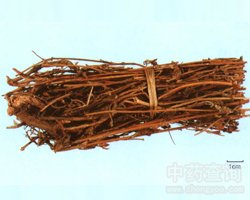 ���º�ˎ��