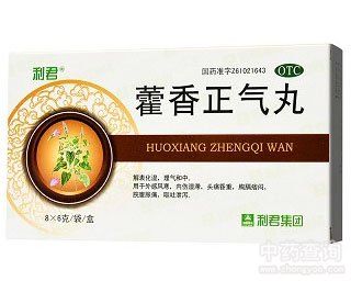 ޽��������