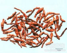 �Ź�(ji��)����