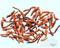 �Ź�(ji��)����